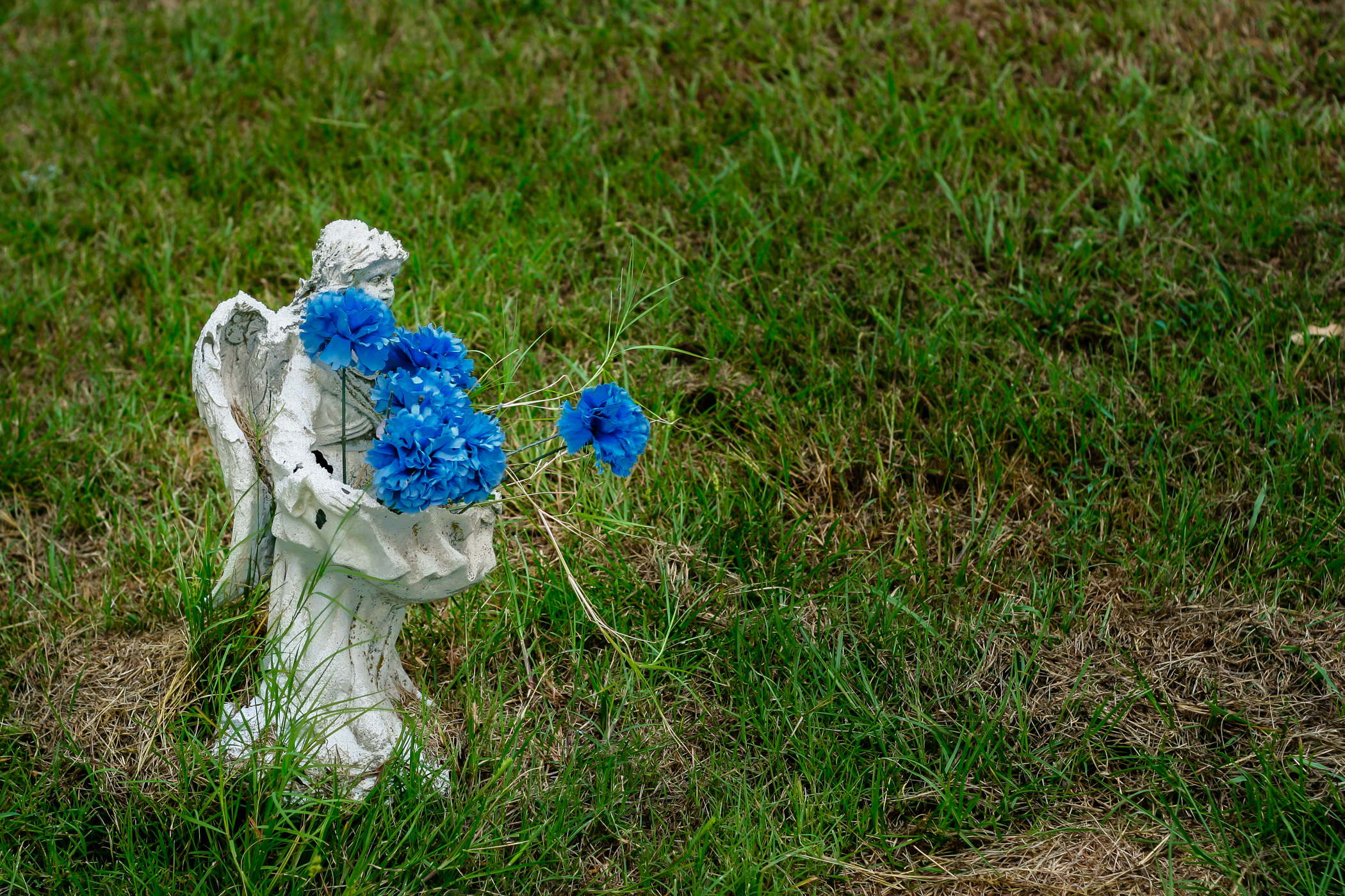 A small angel statue holds flowers at Minters Chapel Cemetery on the property of DFW International Airport, Texas.