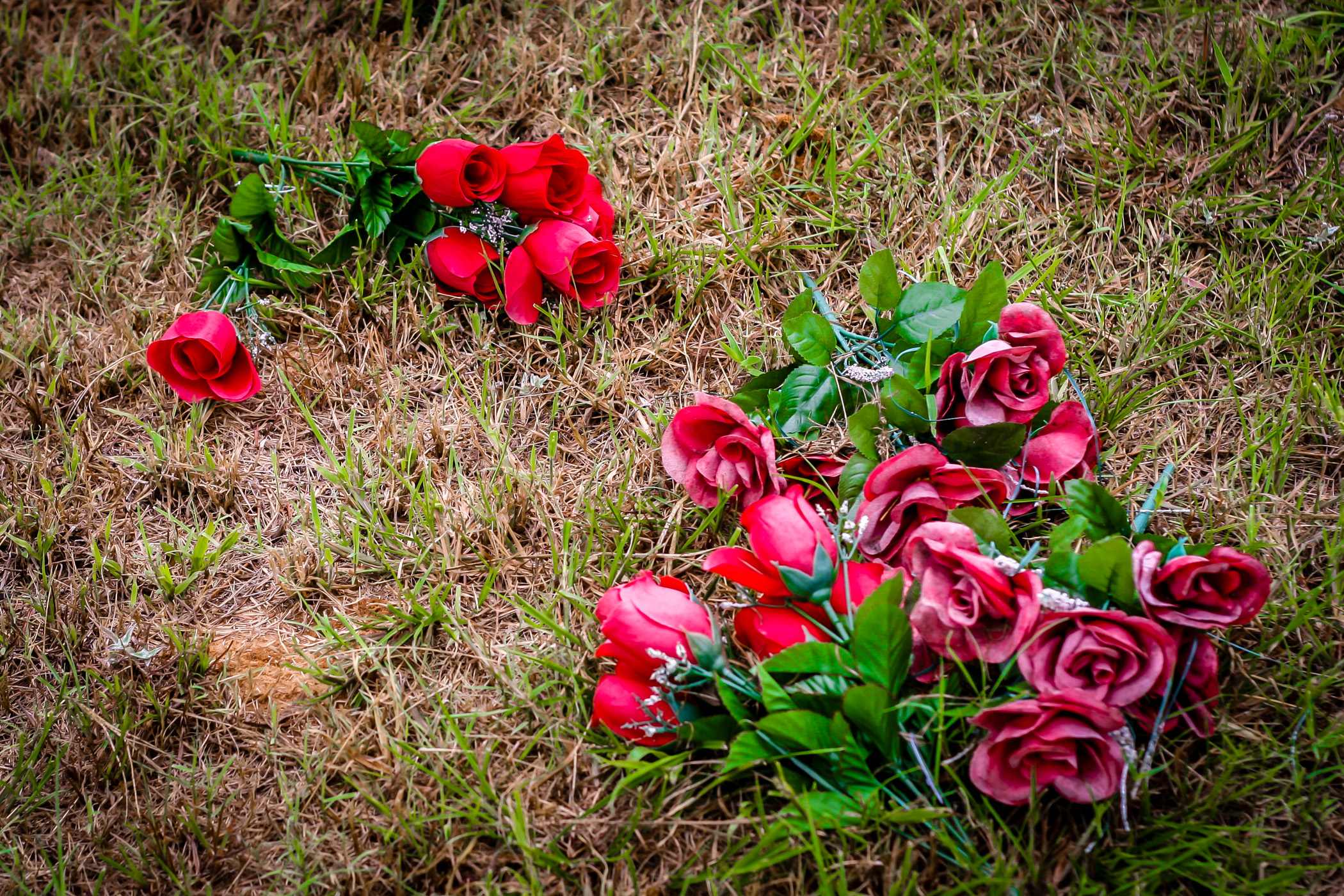 Fake roses strewn about Minter's Chapel Cemetery, DFW Airport, Texas.