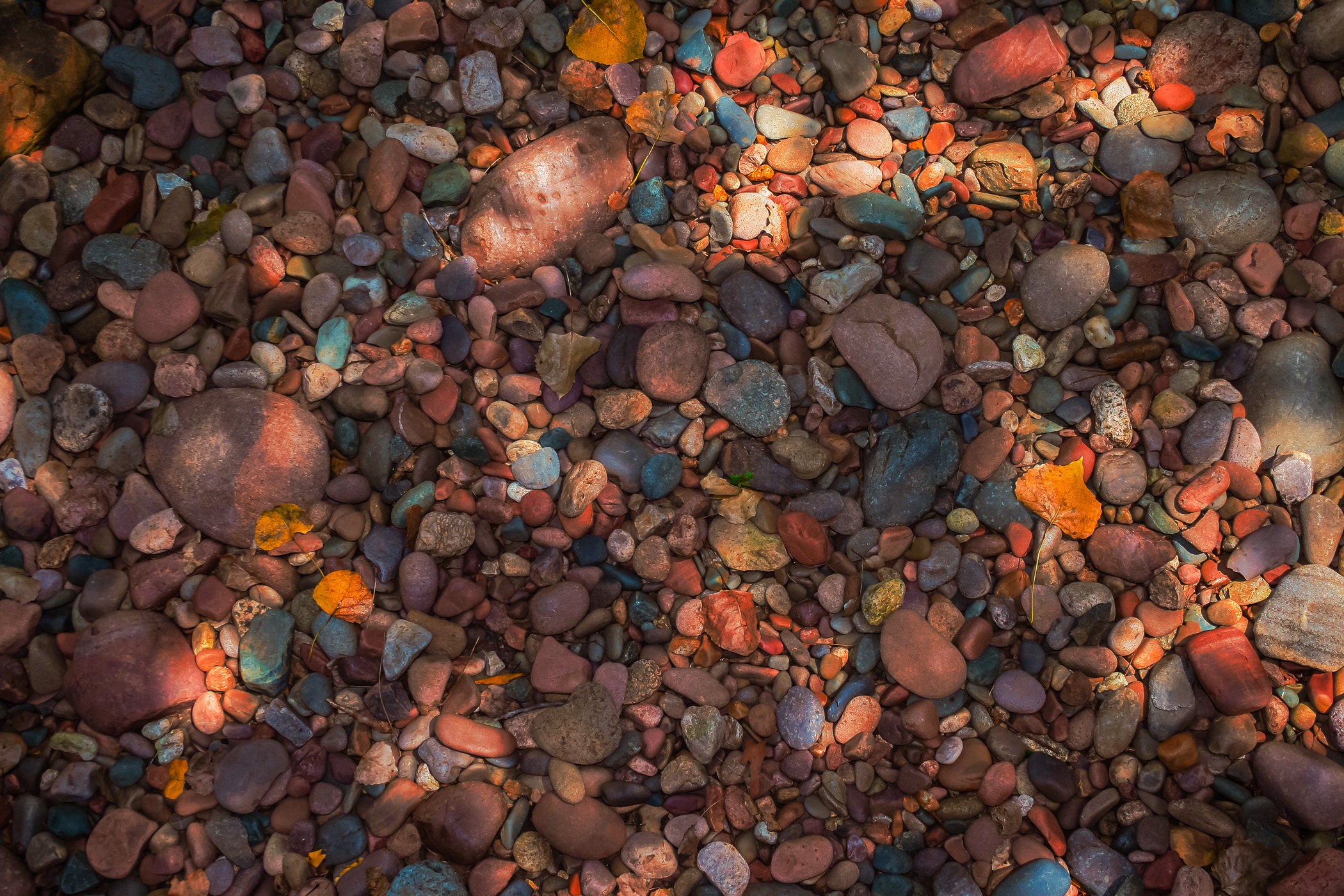 Colorful rocks spotted at the Japanese Garden at the Botanic Gardens in Fort Worth, Texas.