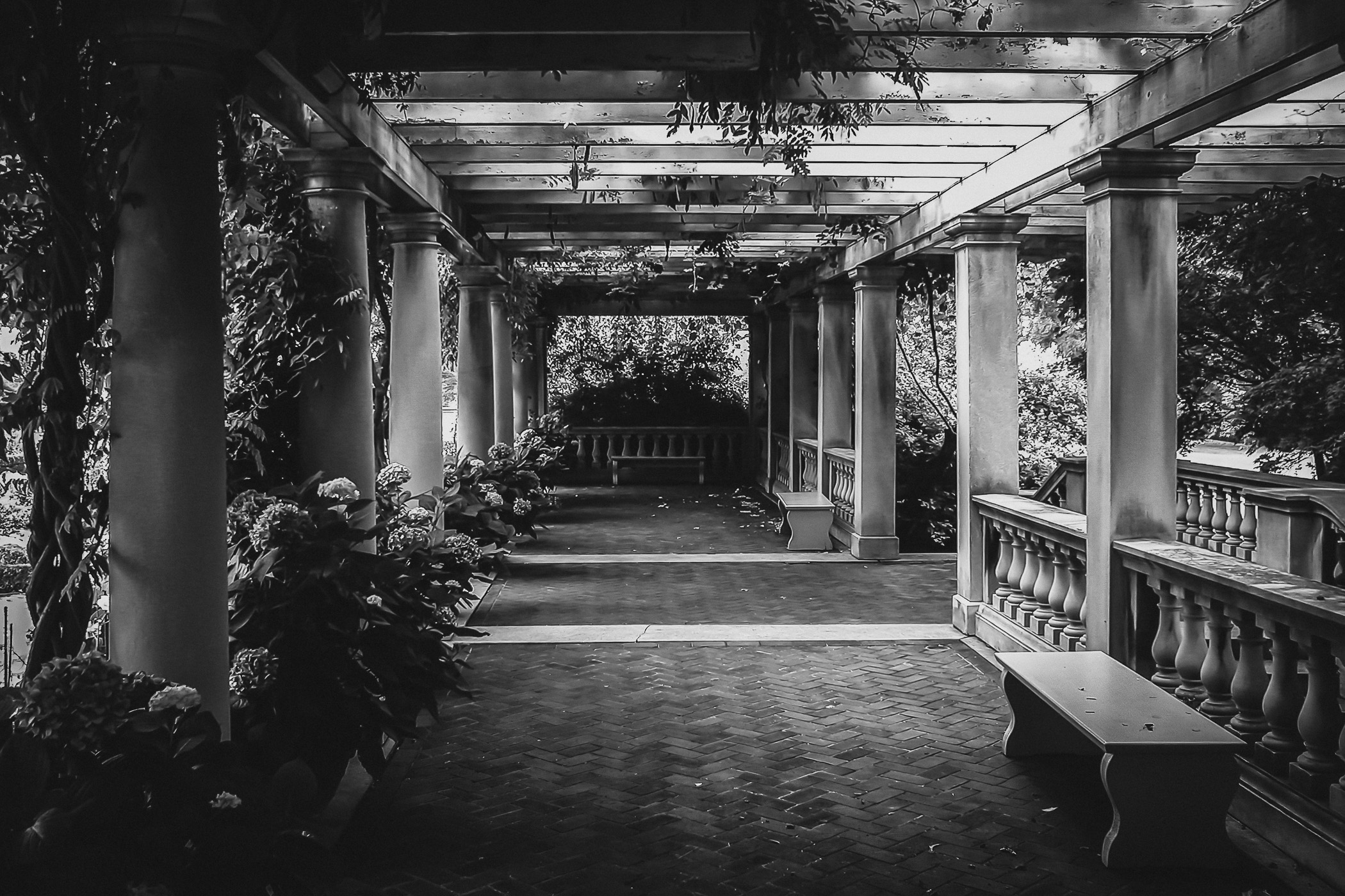 Light and dark interact in a misty, dream-like state in this shot of the pergola at the George Eastman House in Rochester, NY.