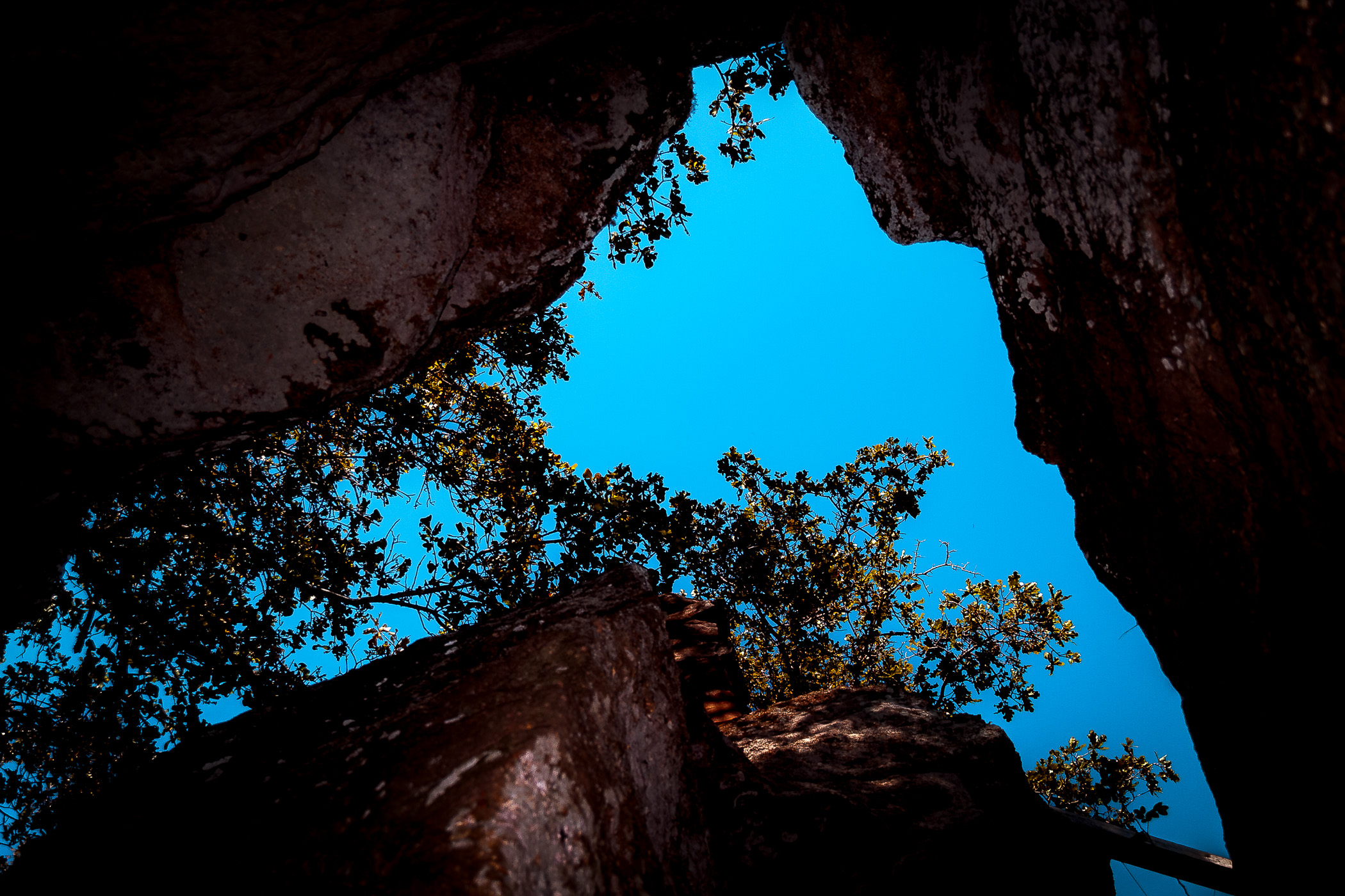 The sky and trees rise beyond a rock crevice at Lake Mineral Wells State Park in Texas.