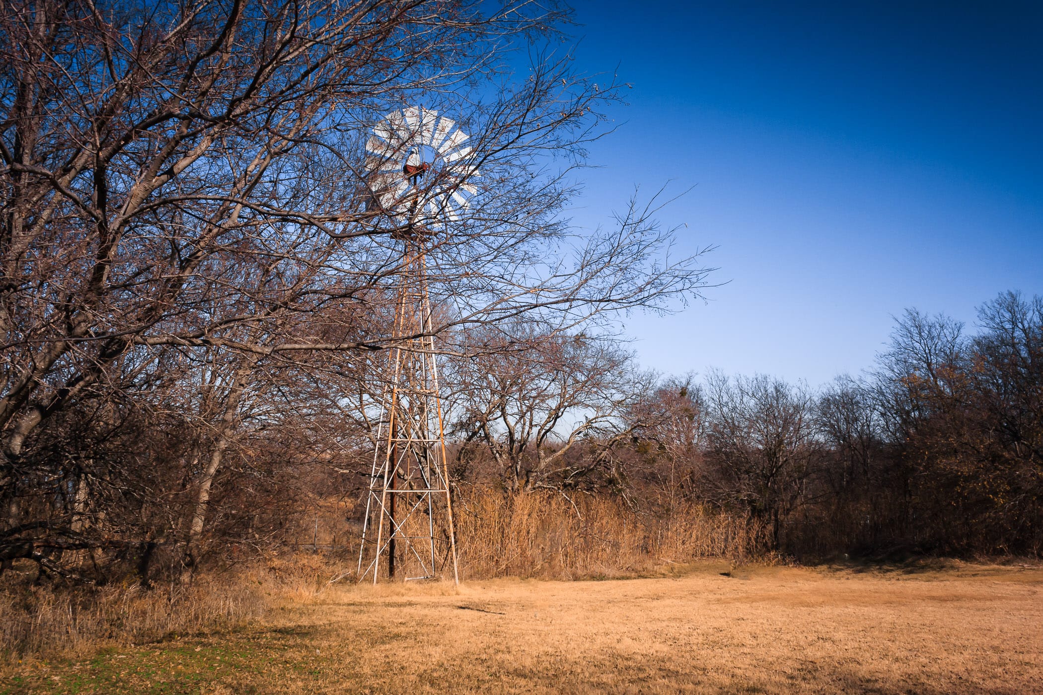 One of the windmills at Penn Farm in Cedar Hill State Park, Texas.