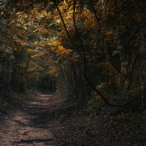 A Path Forward