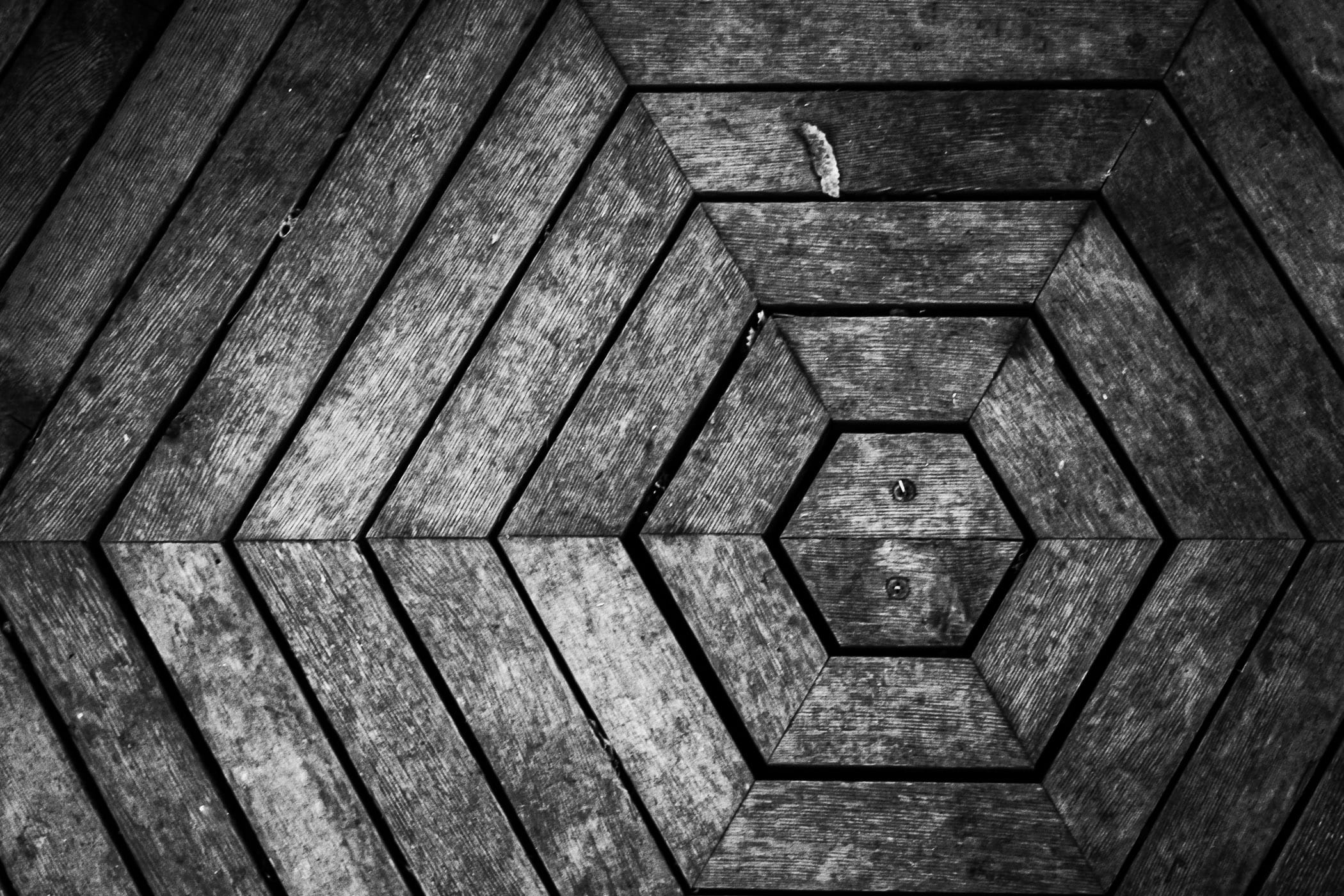 The pattern of wood making up the floor of a gazebo at the Fort Worth, Texas' Botanic Gardens vaguely reminded me of the TV show Lost's Dharma Initiative's logo.