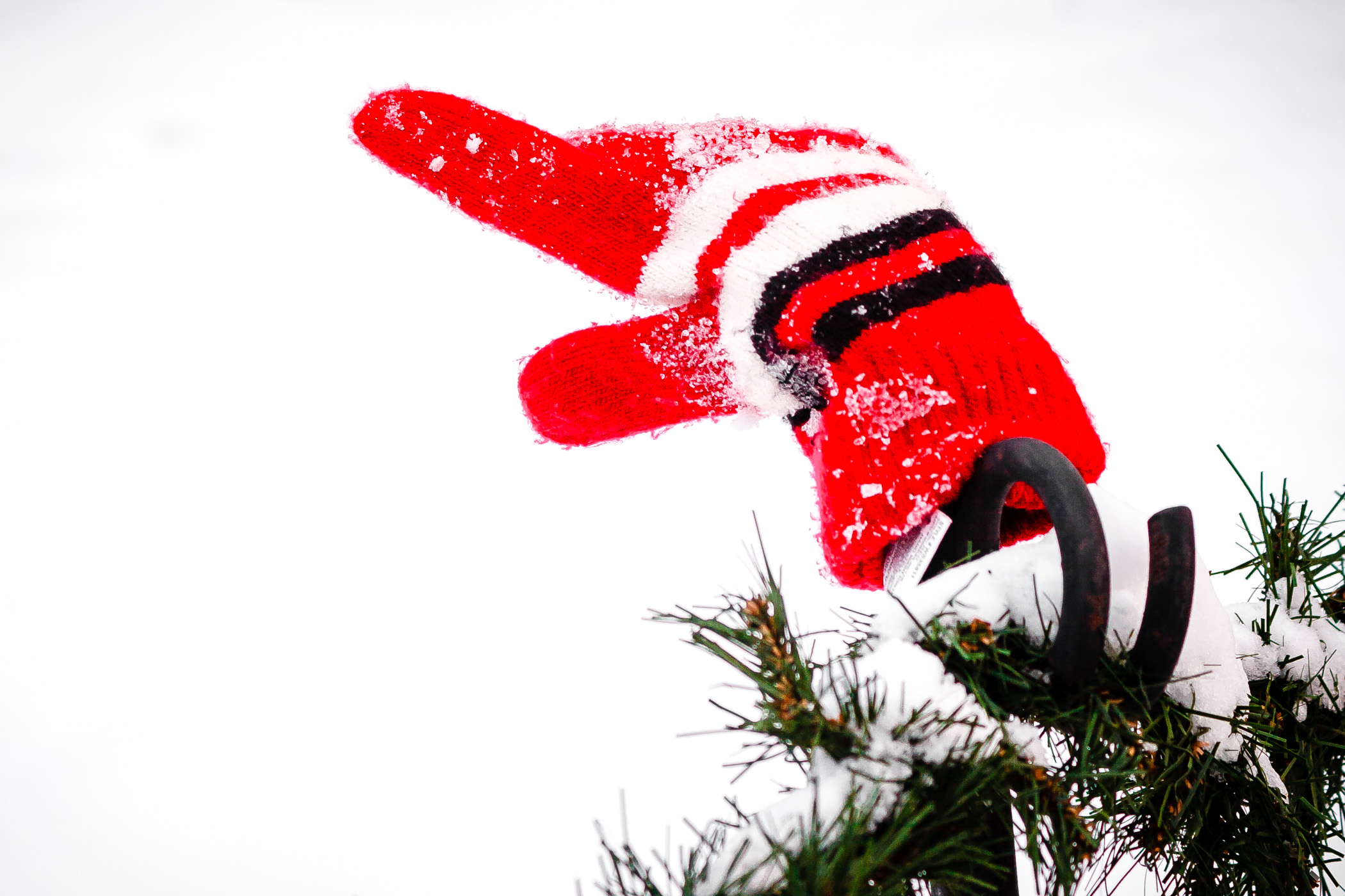 A lonely glove spotted in Temple Square, Salt Lake City, Utah.