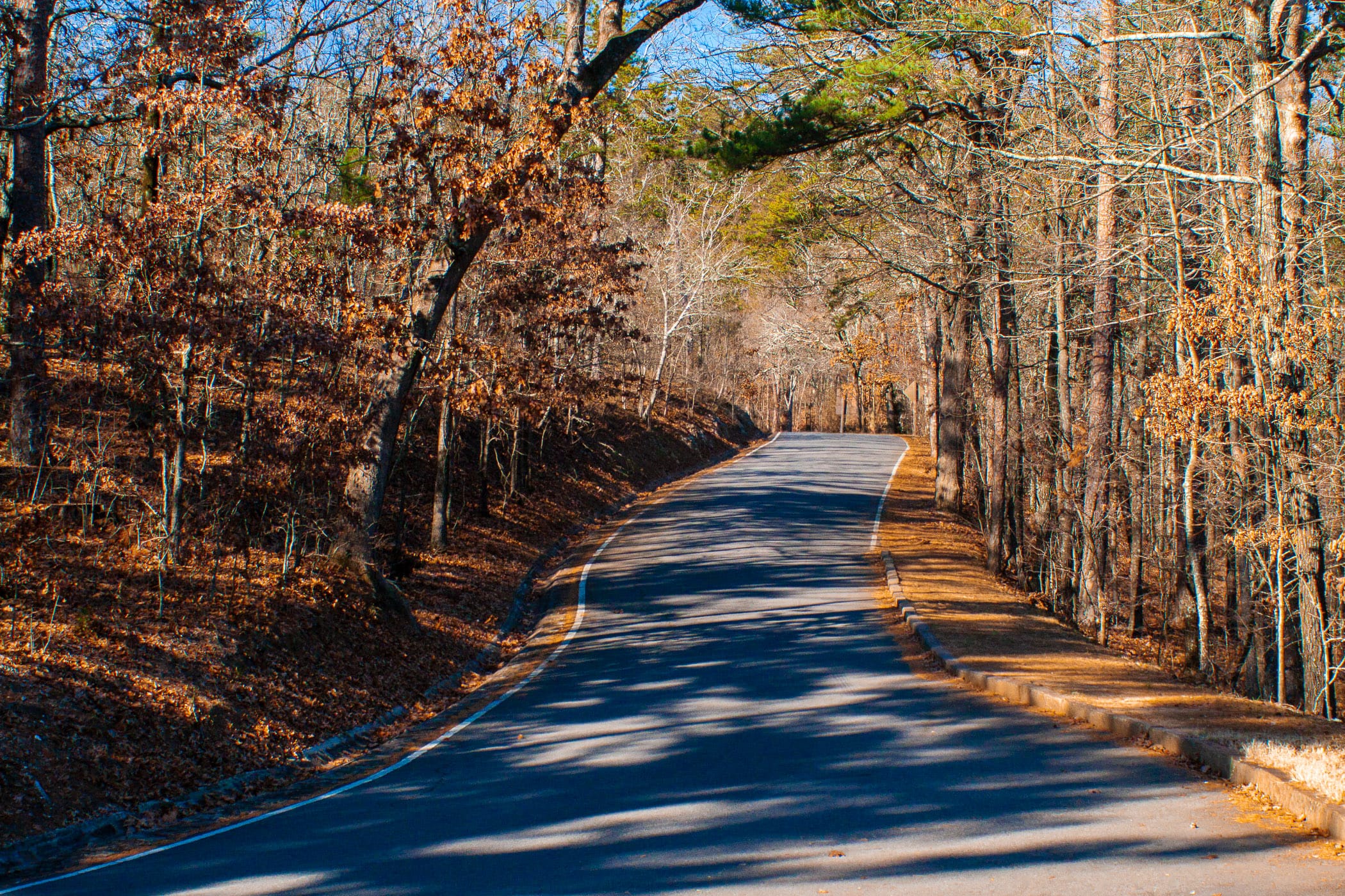 A road winds through the trees atop a hill near Hot Springs, Arkansas.