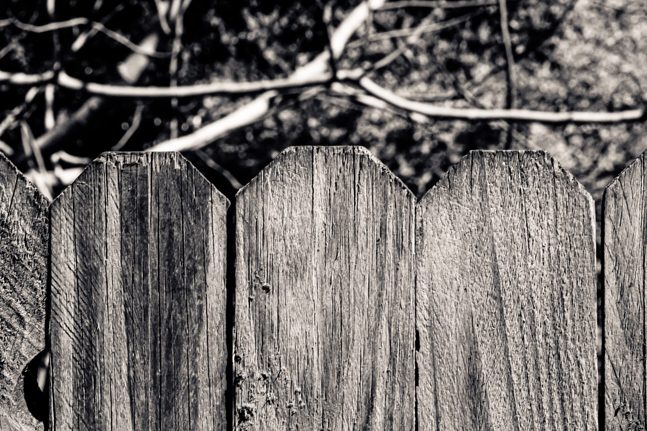 The tops of planks making up a wooden fence, somewhere in Tyler, Texas.