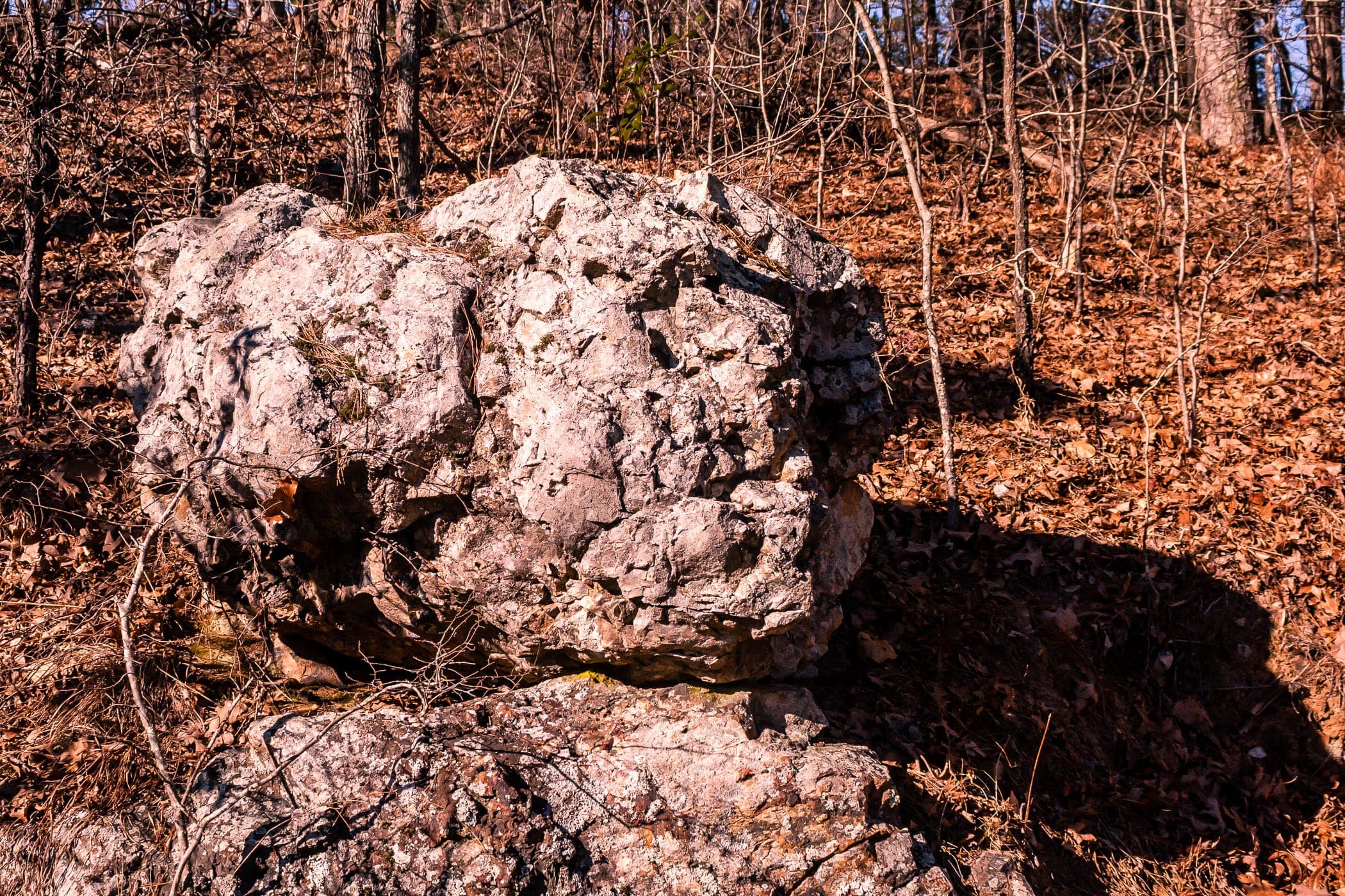 A large rock lies amongst the trees in a Hot Springs, Arkansas, park.