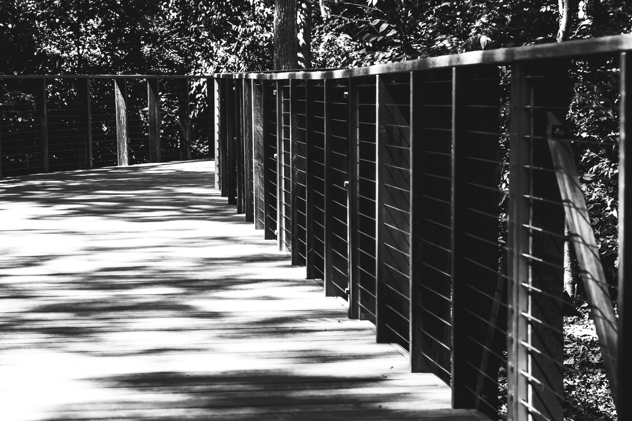 A pedestrian bridge winds through the trees at the Fort Worth Botanic Garden.