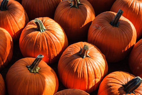 Pumpkins