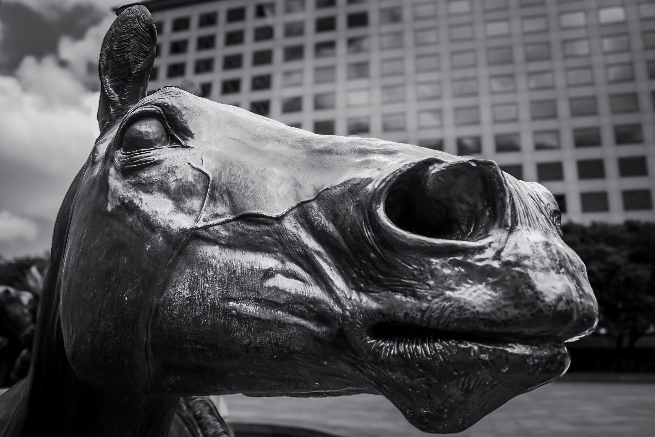 Detail of one of the constituent sculptures of The Mustangs at Las Colinas, Irving, Texas.