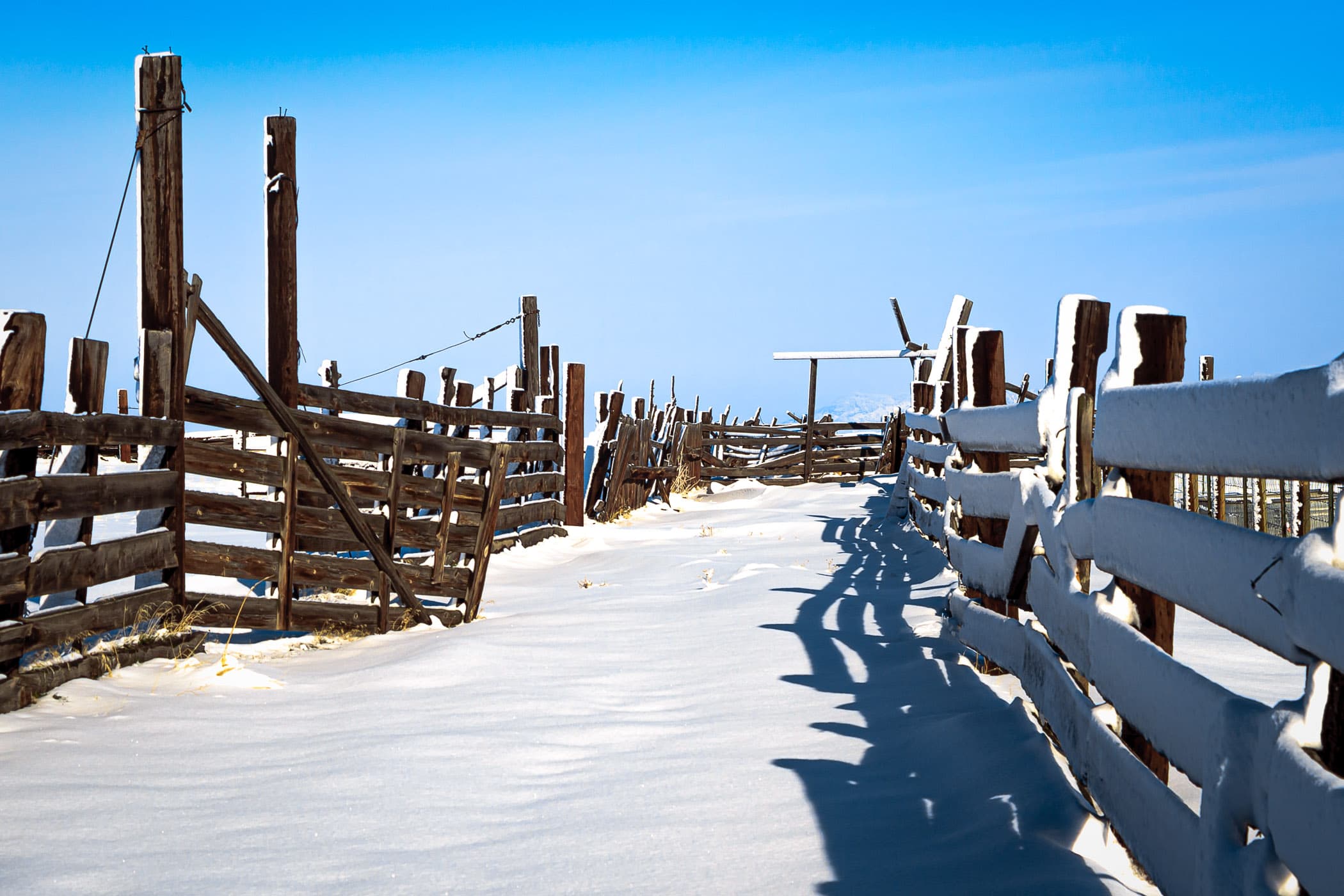 A very cold and snowy fence at Utah's Antelope Island State Park.