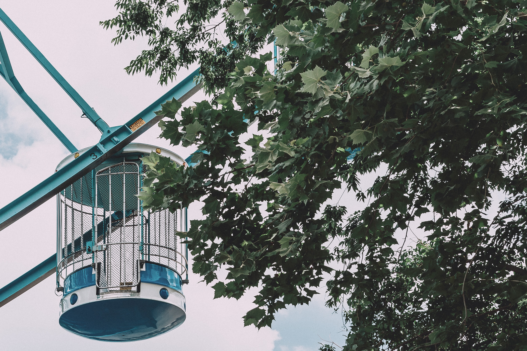 A gondola of the Texas Star Ferris Wheel in Fair Park, Dallas, peeks out from behind a neighboring tree.