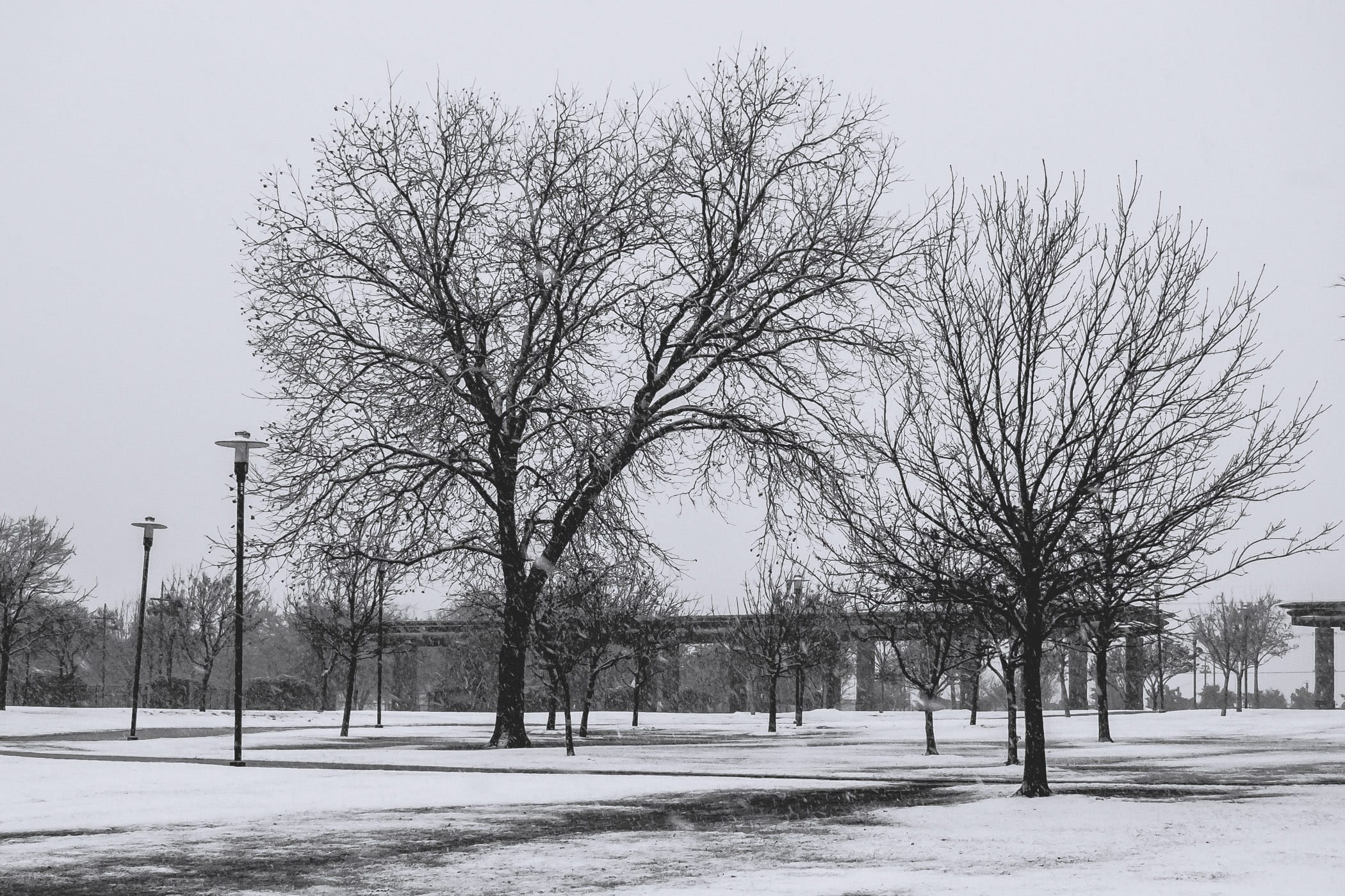 A cold, snowy day at Addison Circle Park, Addison, Texas.