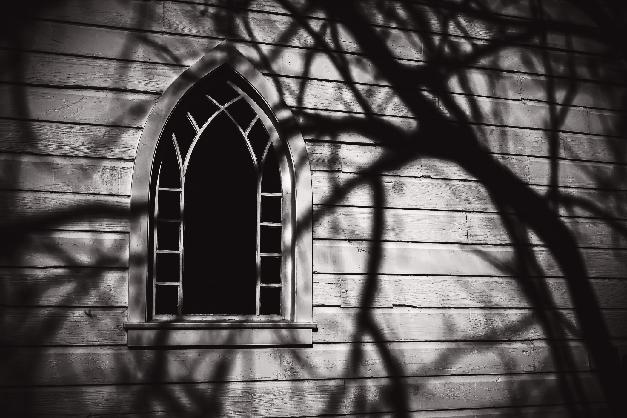 Shadows of tree branches fall over a window of an abandoned church somewhere near Dallas.