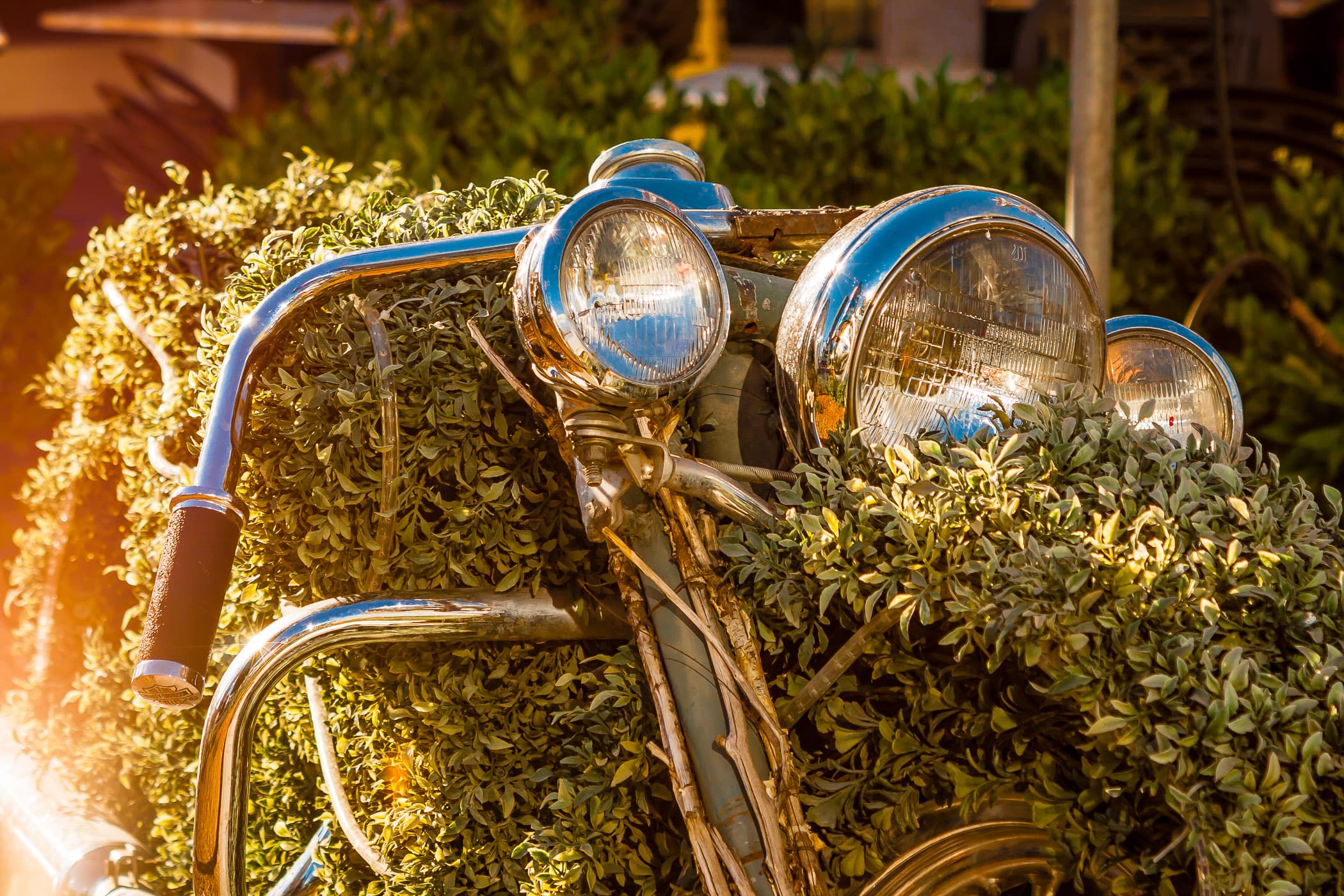 A motorcycle covered with vines at the Harley-Davidson Bar and Grill, Las Vegas.