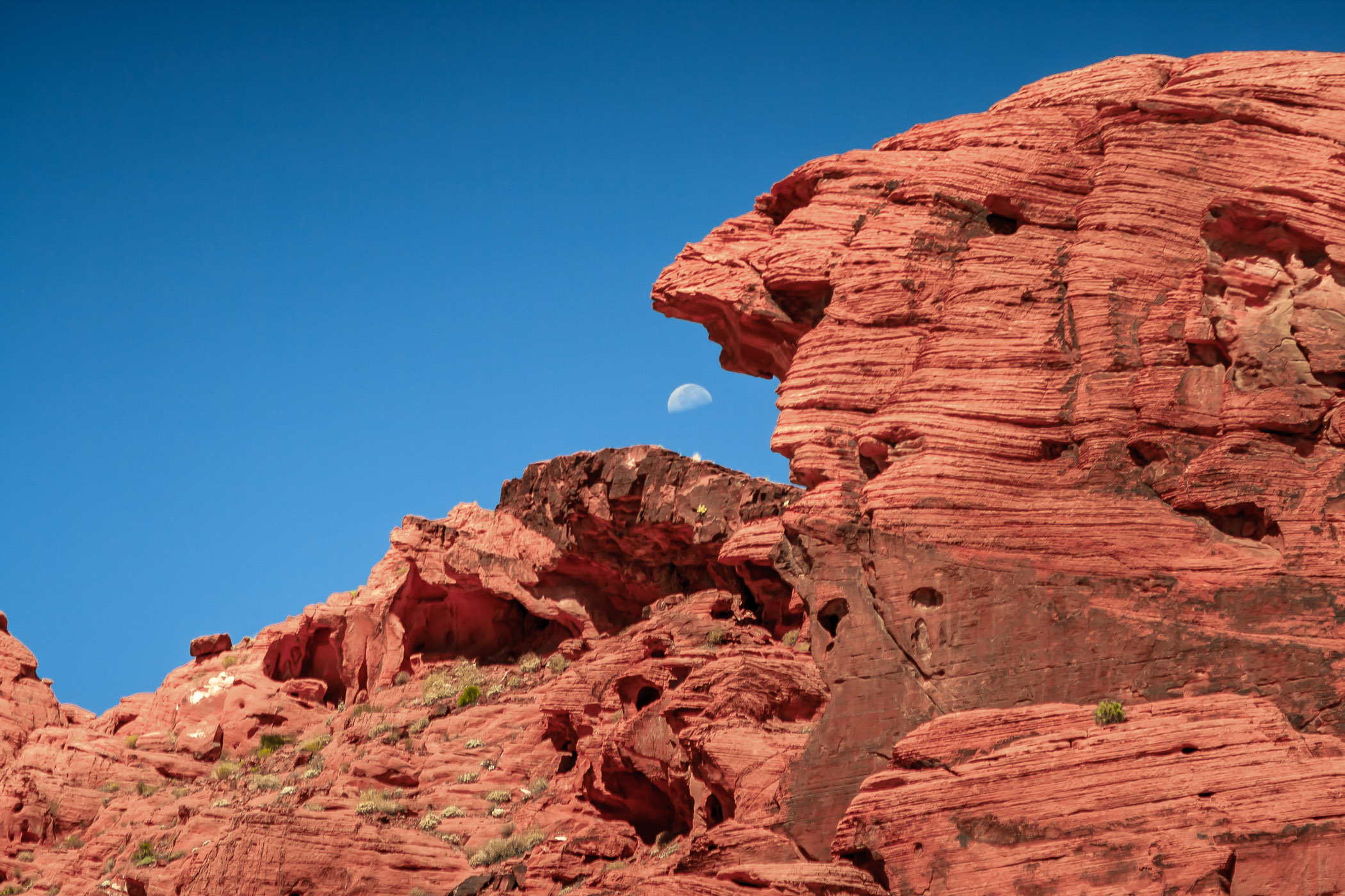 Rock monoliths seem to be ready to eat the moon at the Valley of Fire, Nevada.