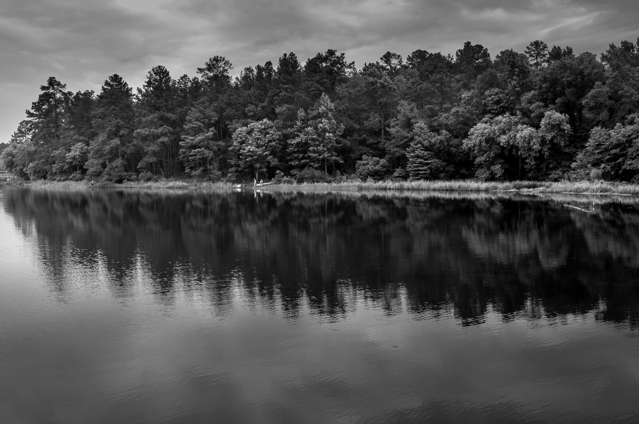 Trees line the shore of the lake at Tyler State Park, Tyler, Texas.