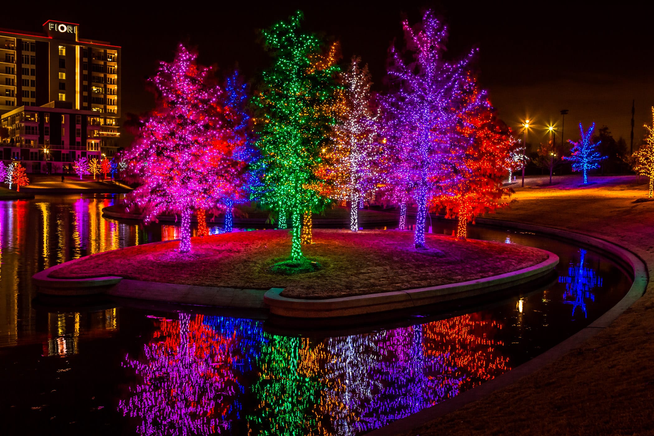 Trees in Addison, Texas’ Vitruvian Park decorated with multi-colored lights for the holidays.