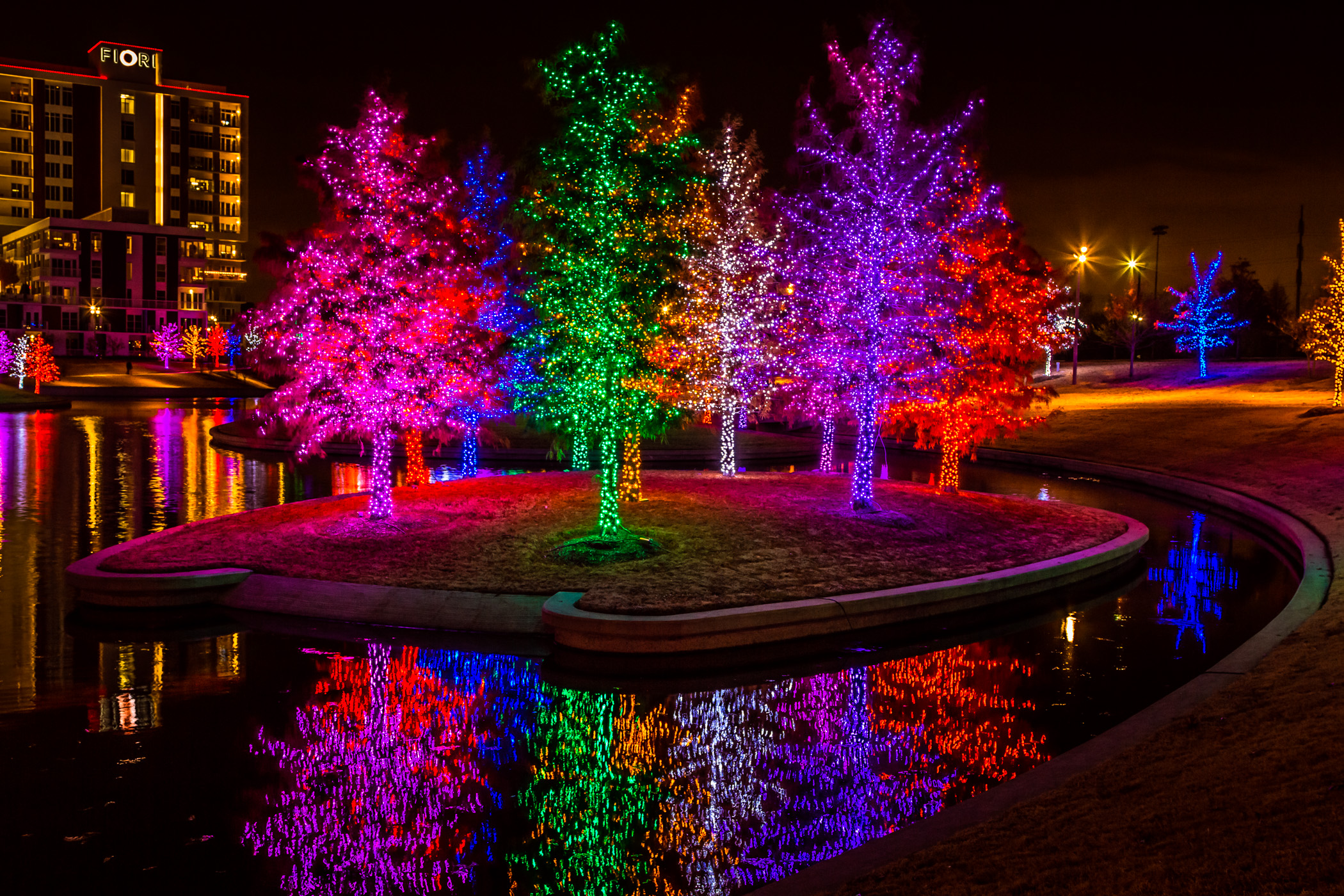 Trees in Addison, Texas’ Vitruvian Park decorated with multi-colored lights for the holidays.