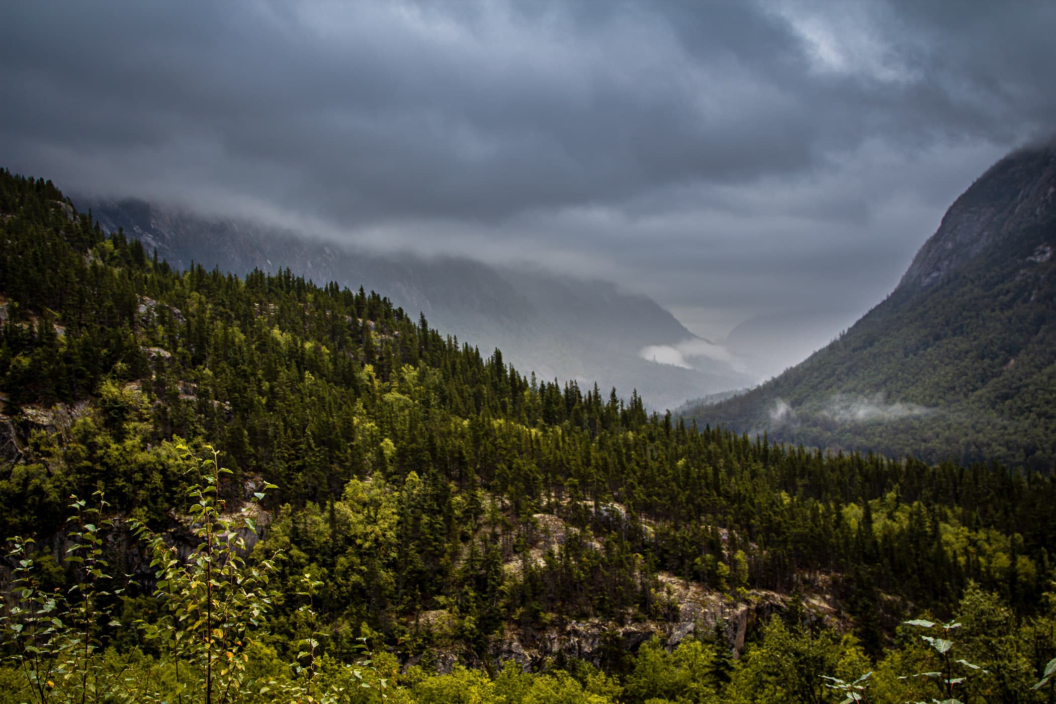 A foggy valley among the mountains just northeast of Skagway, Alaska.