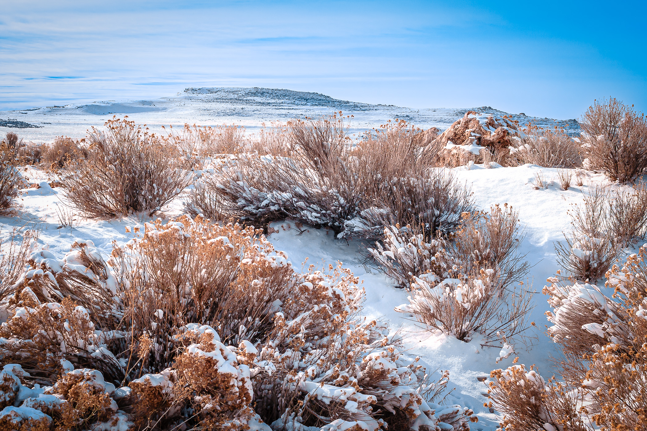 Snow covers the brushy, rocky landscape of the Great Salt Lake's Antelope Island in Utah.