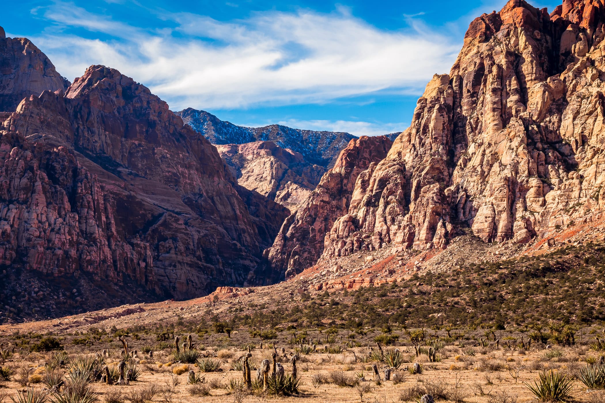 Rugged landscape rises from the desert floor in Nevada's Red Rock Canyon.