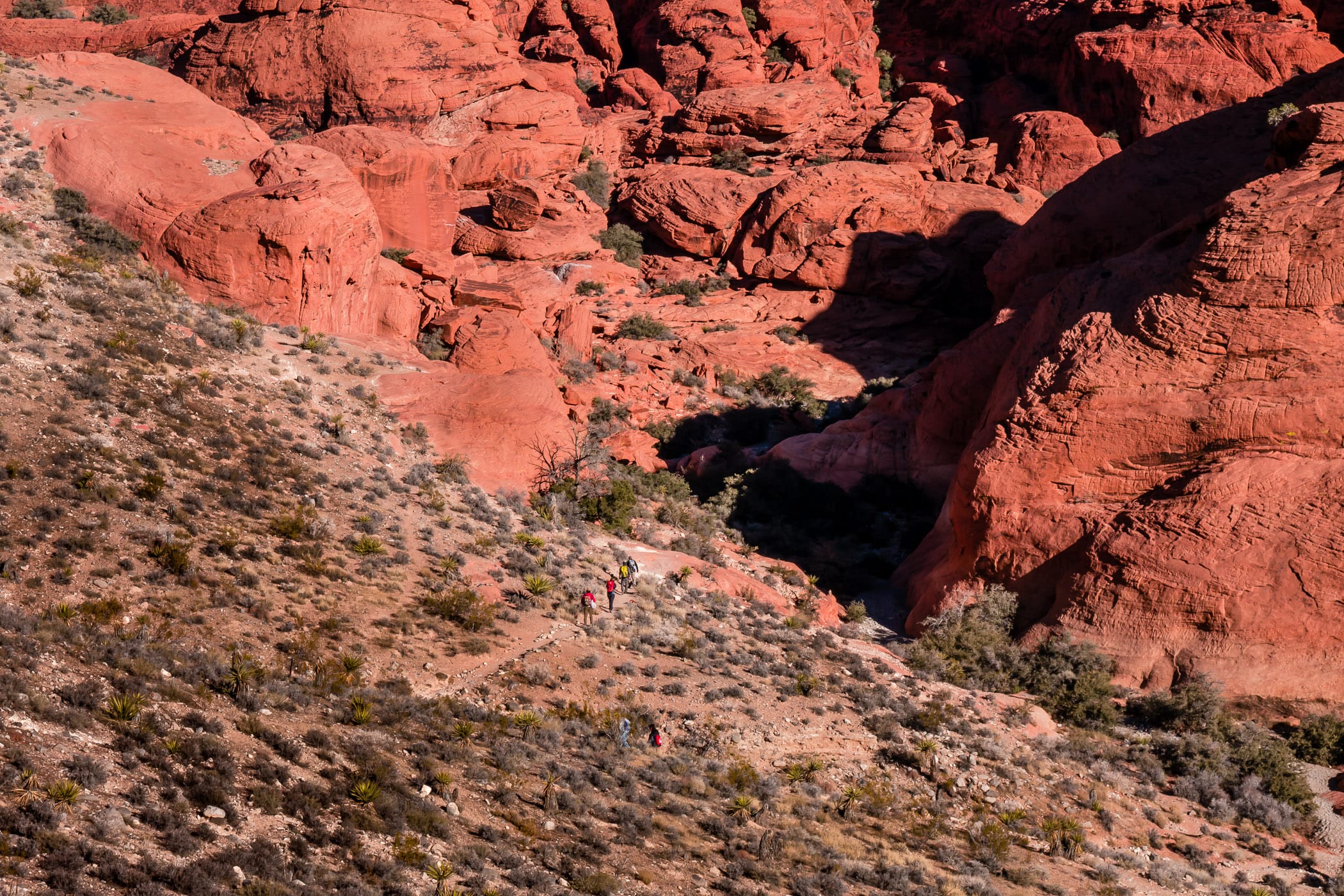 Hikers trek to the bottom of Nevada's sun-parched Red Rock Canyon, on the outskirts of Las Vegas.