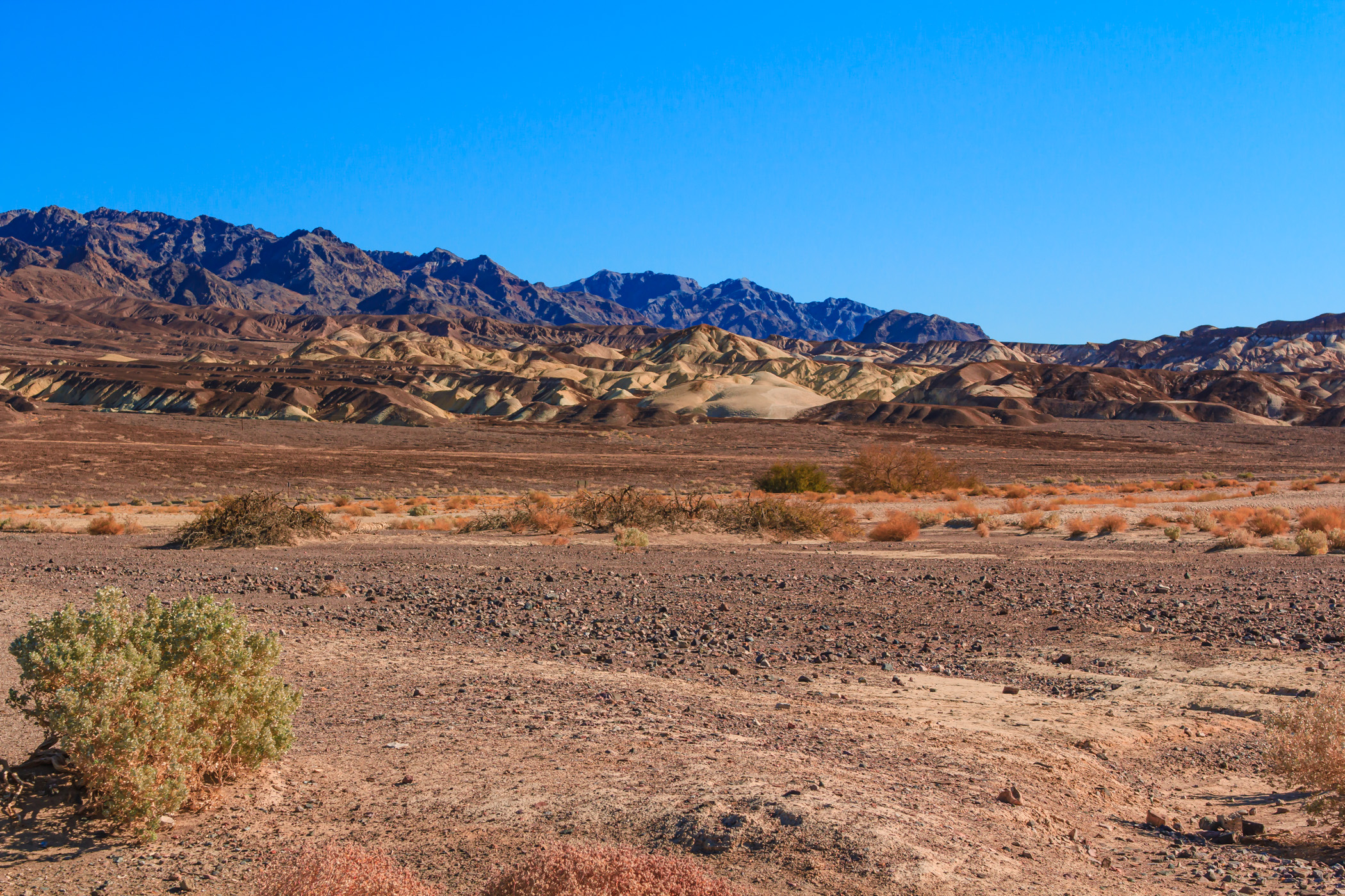 Mountains rise in the distance of Death Valley National Park's desert landscape.