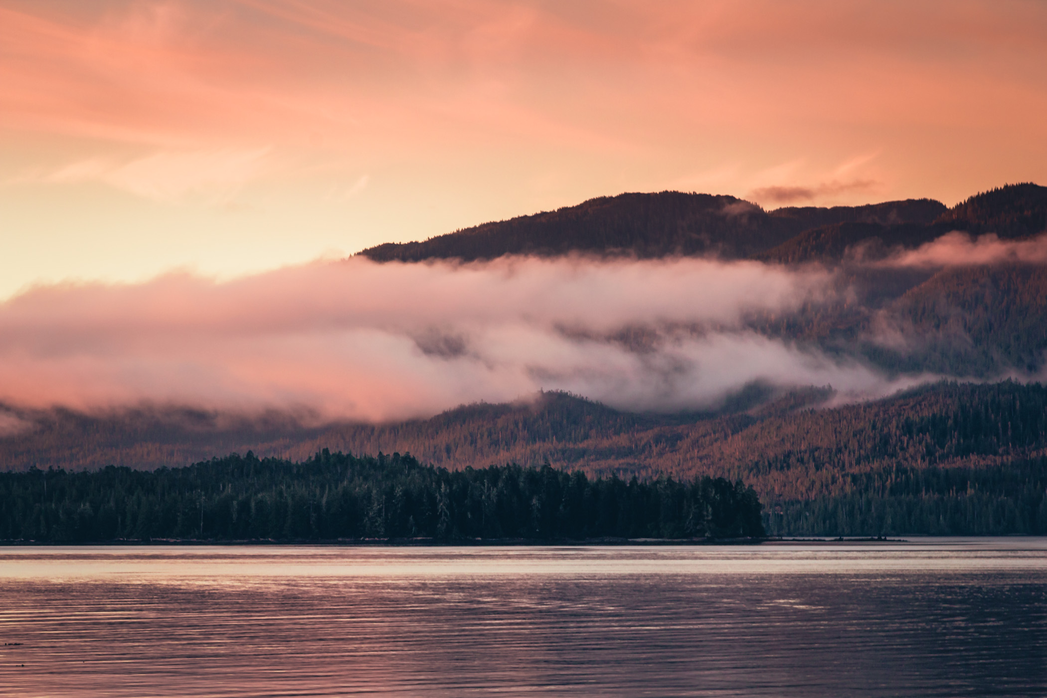 Morning fog envelops Gravina Island, across the Tongass Narrows from Ketchikan, Alaska,