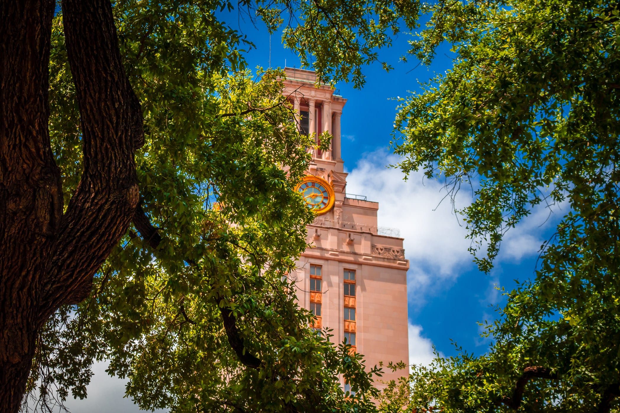 The 307-foot-tall Main Building at the University of Texas at Austin appears to hide behind a nearby grove of trees.
