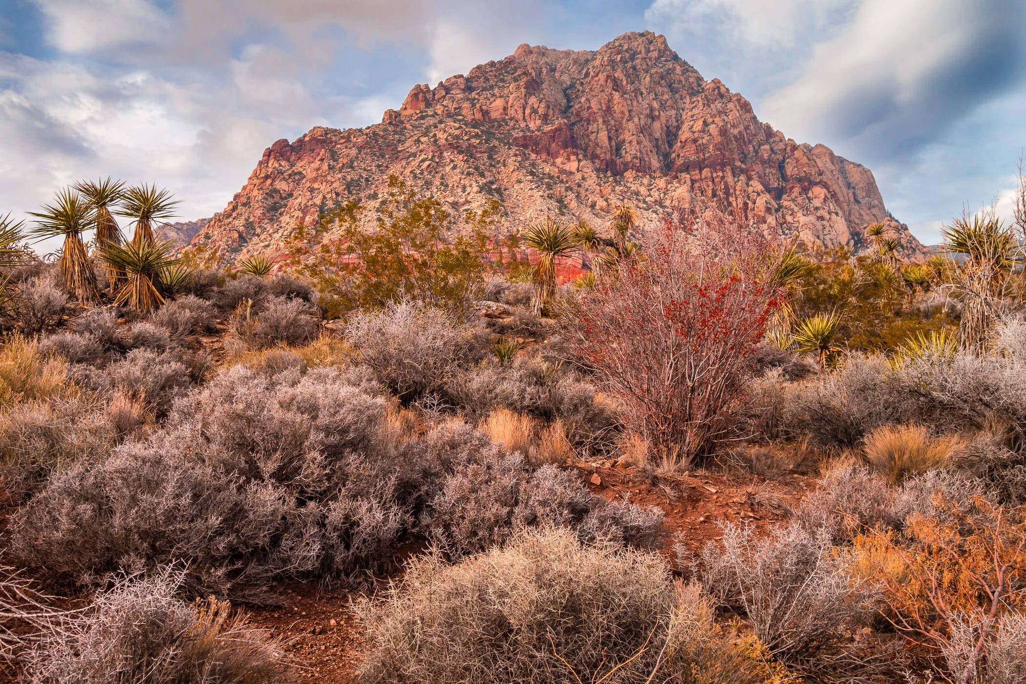 Desert brush surrounds a rocky, mountainous outcropping at Spring Mountain Ranch State Park, Nevada.