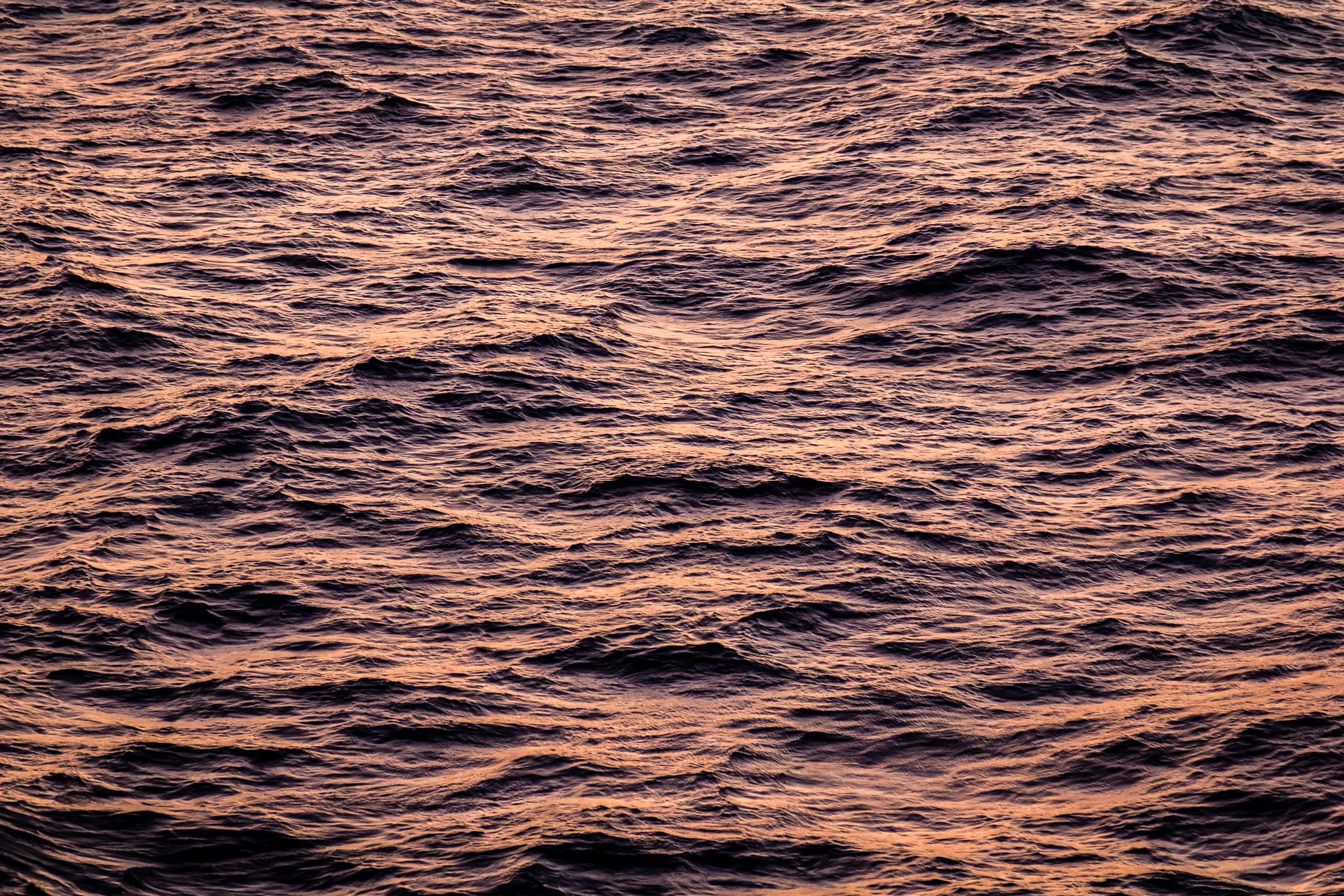The Gulf of Mexico catches the early morning sunlight, highlighting its ever-changing surface as seen from the deck of the cruise ship Carnival Magic.