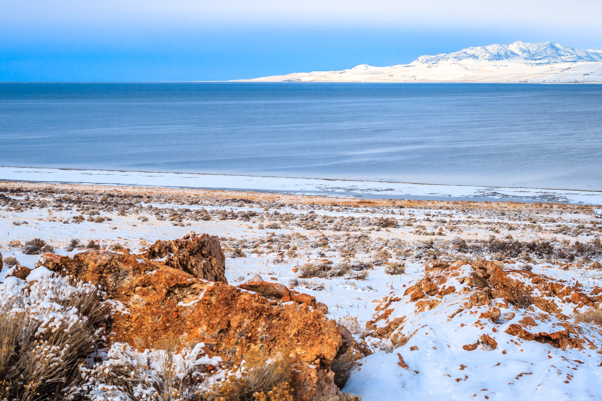 The brush-and-rock-covered winter shoreline of Antelope Island in Utah's Great Salt Lake.