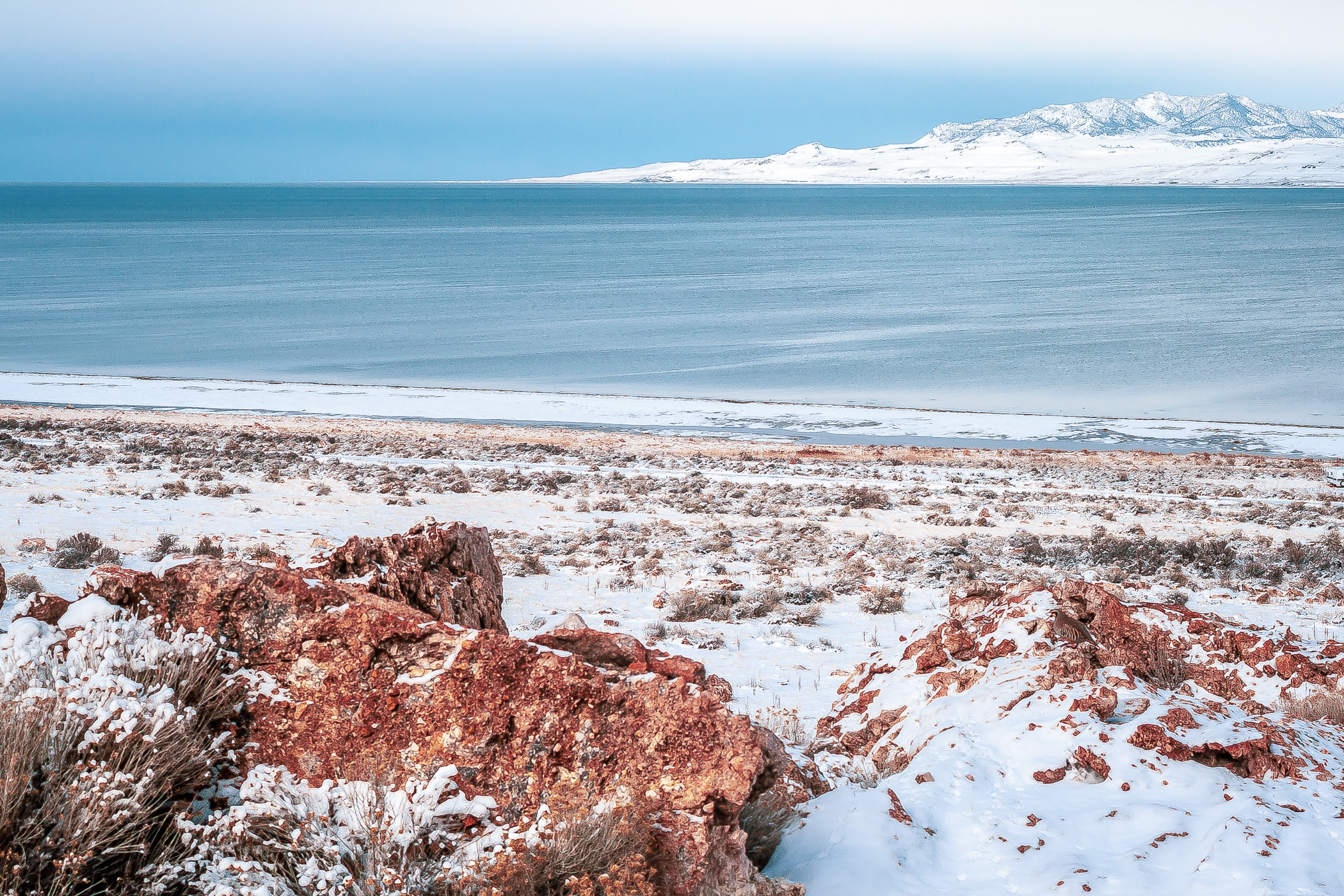 The brush and rock covered winter shoreline of Antelope Island in Utah's Great Salt Lake.