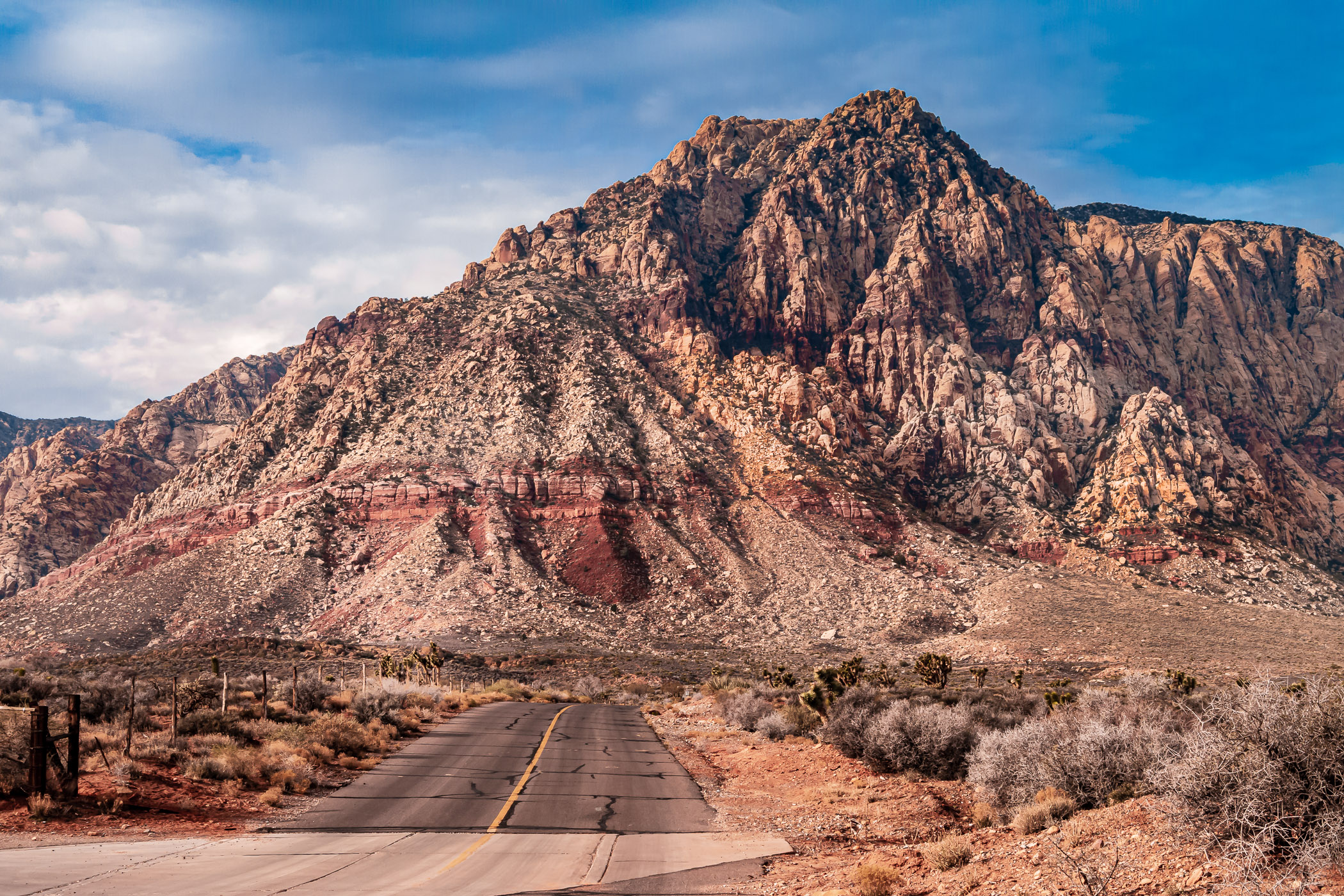 A desert road leads its way into Nevada's Spring Mountains at Spring Mountain Ranch.