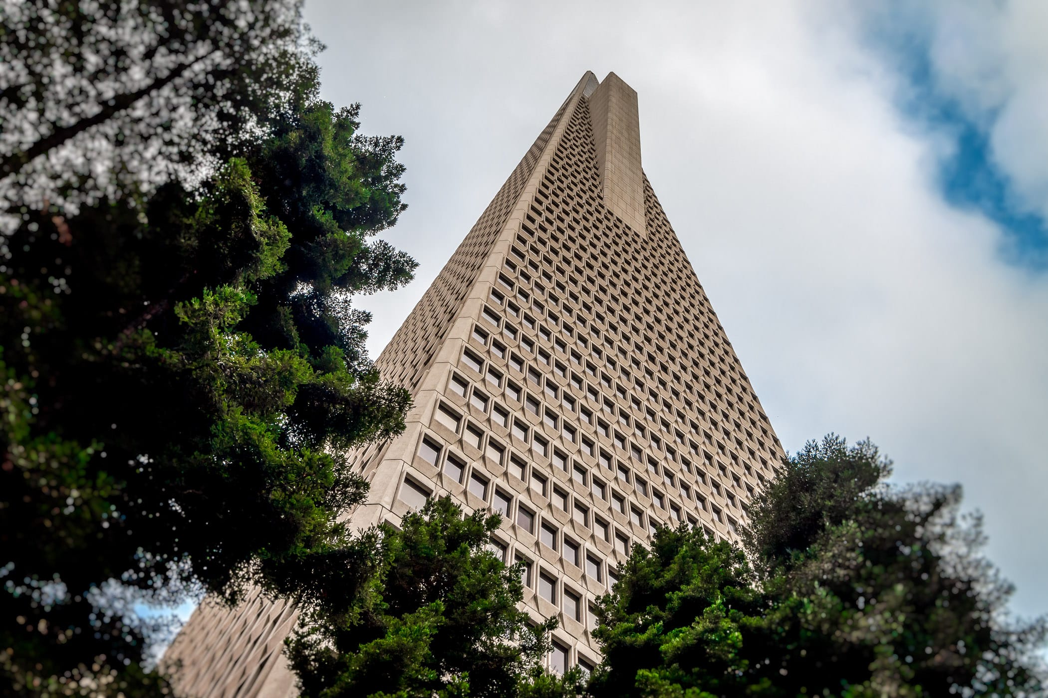 San Francisco's tallest building, the Transamerica Pyramid, rises above the neighboring Redwood Park into the grey Northern California sky.