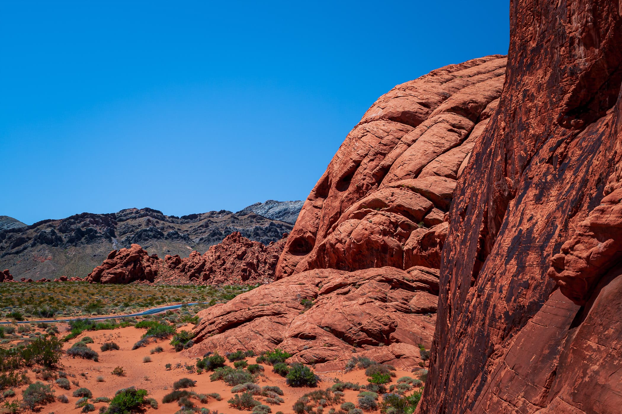 The parched landscape of Nevada's Valley of Fire State Park.