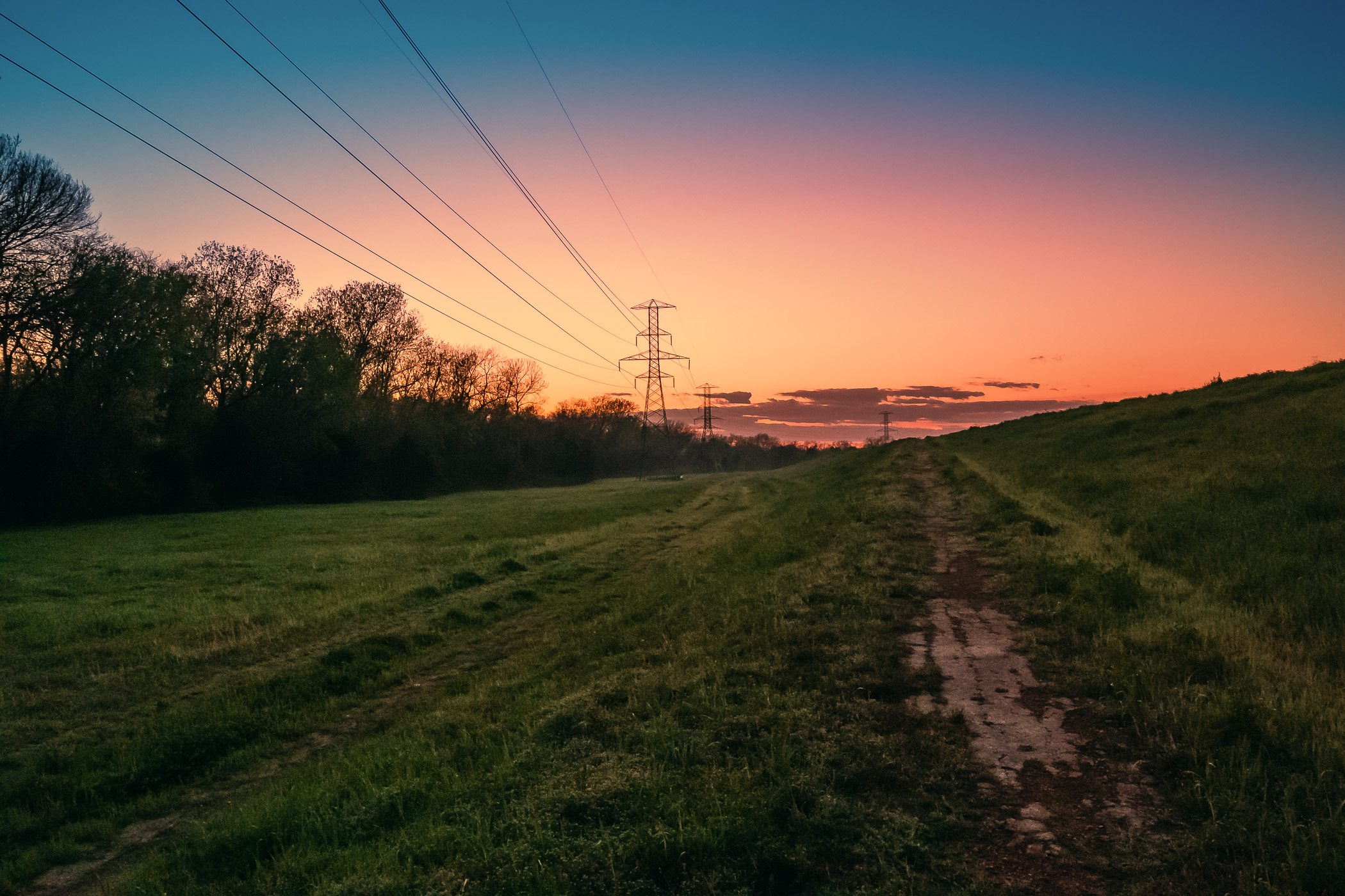 The early-morning sun illuminates power lines along the edge of the Great Trinity Forest in South Dallas.