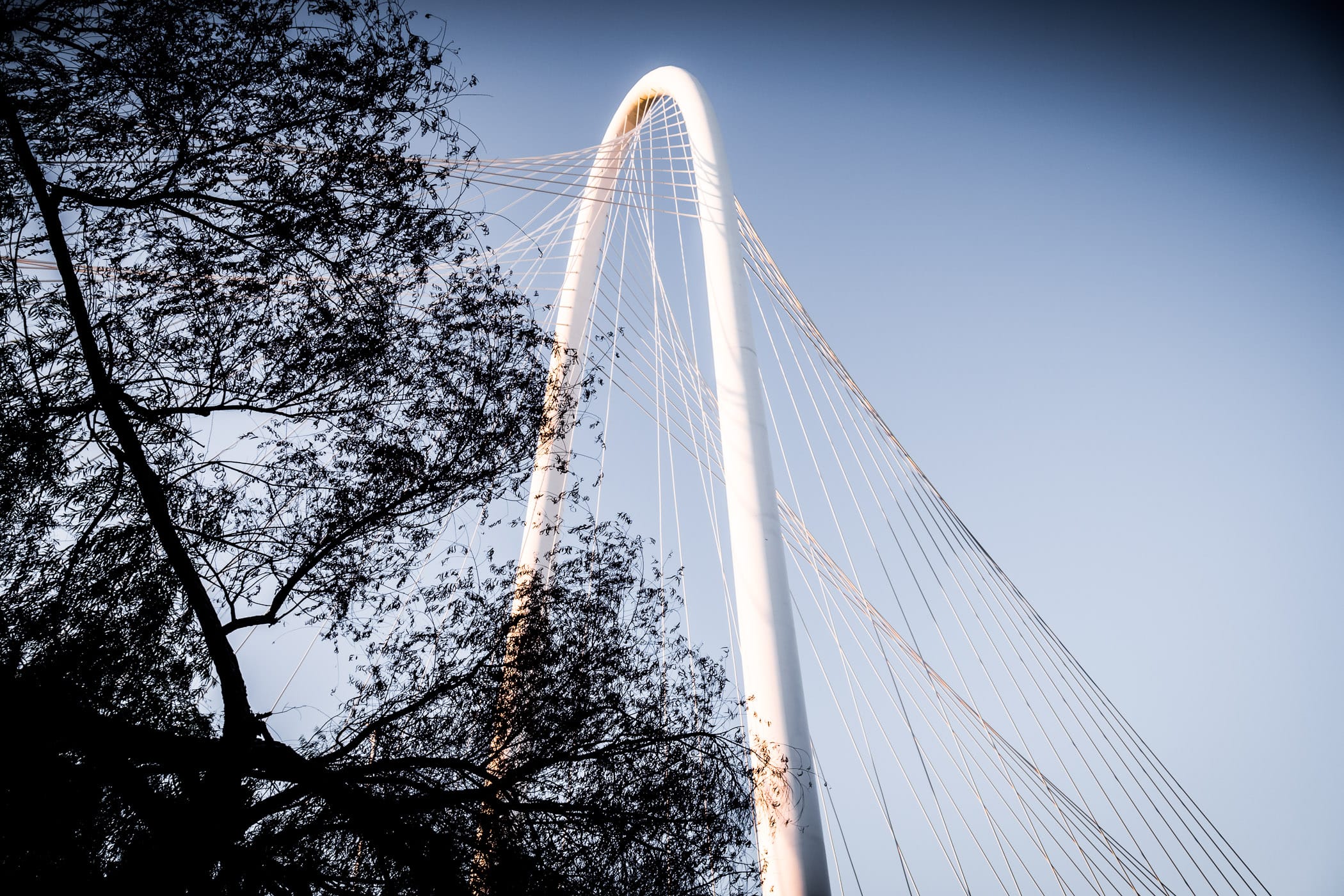 The Santiago Calatrava-designed Margaret Hunt Hill Bridge's arch rises into the sky over Dallas.