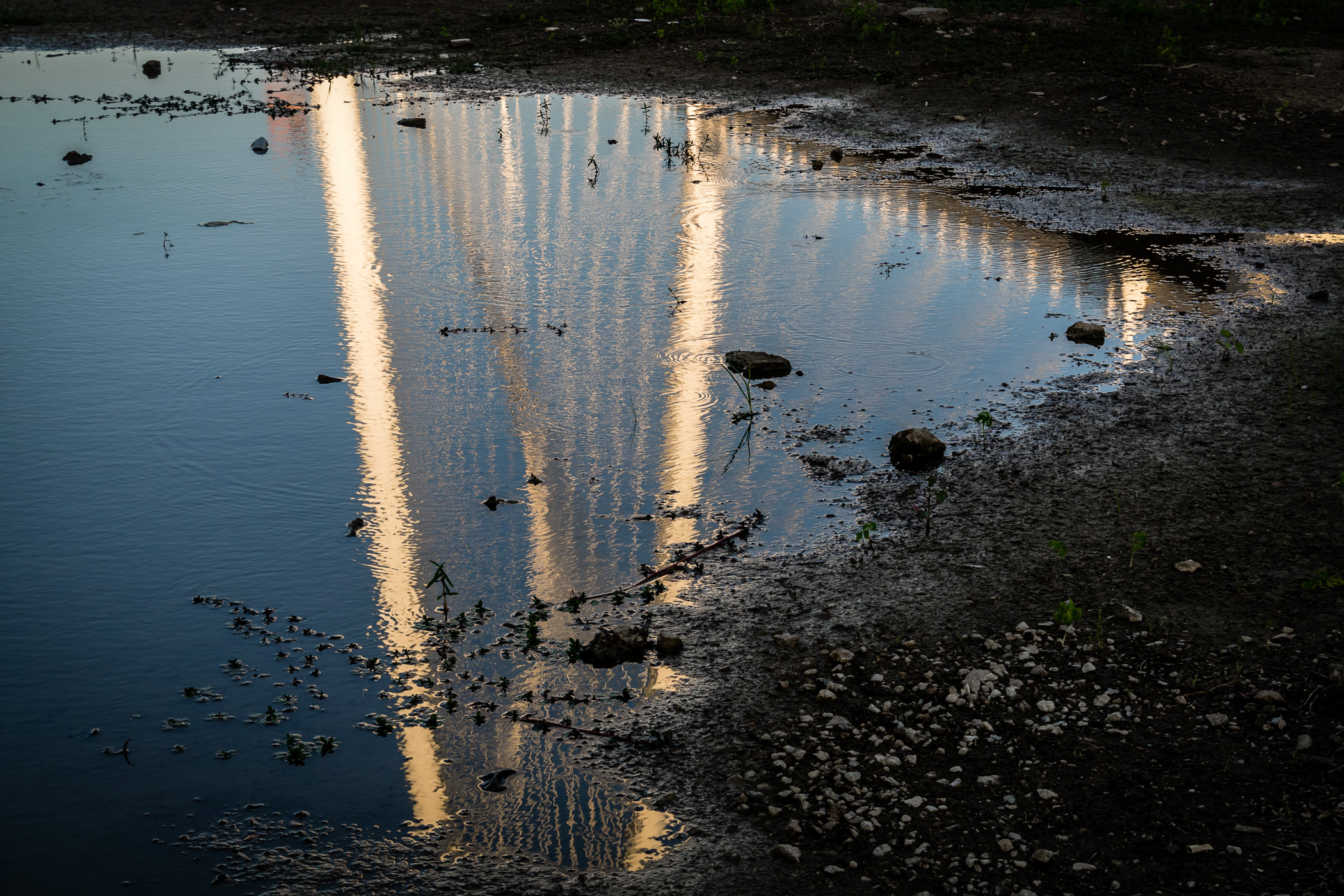 The main arch and cables of Dallas' Margaret Hunt Hill Bridge, reflected in a large puddle in the Trinity River floodplain.