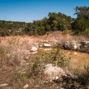 Down in the Dry Riverbed