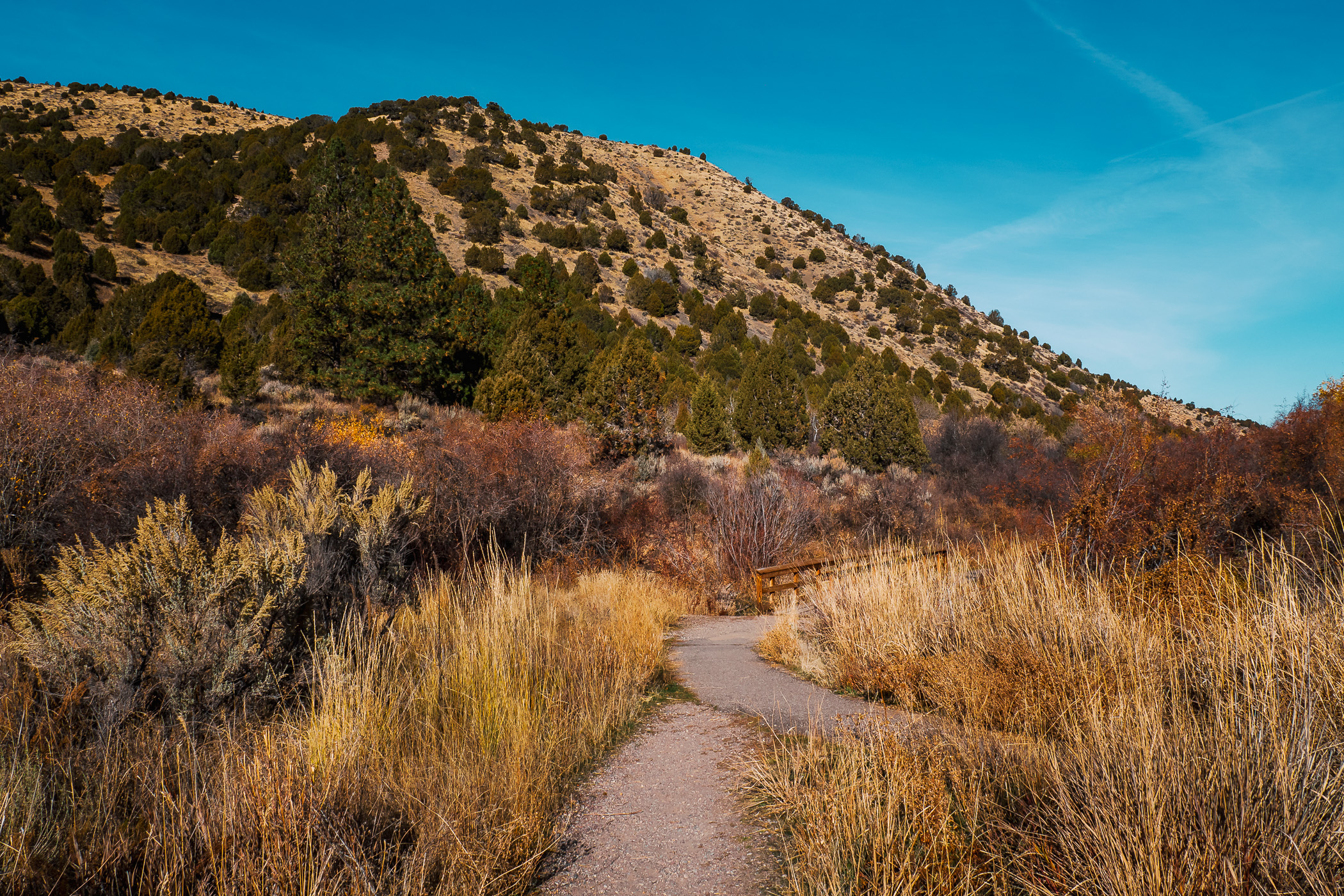 Two paths join to cross a bridge in the Cherry Springs Nature Area near Pocatello, Idaho.