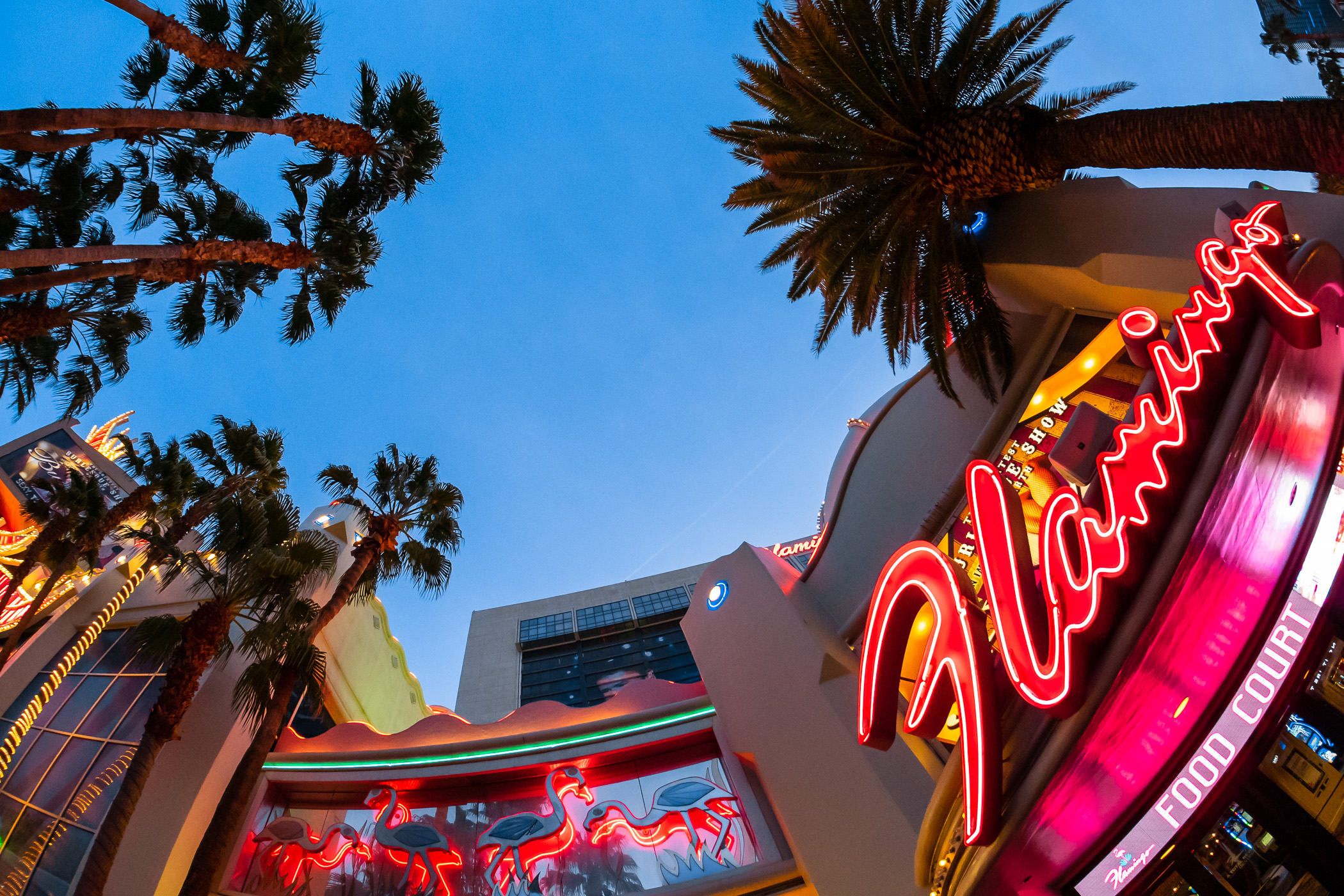 One of the signs at Las Vegas' Flamingo glows as the sun begins to rise on The Strip.