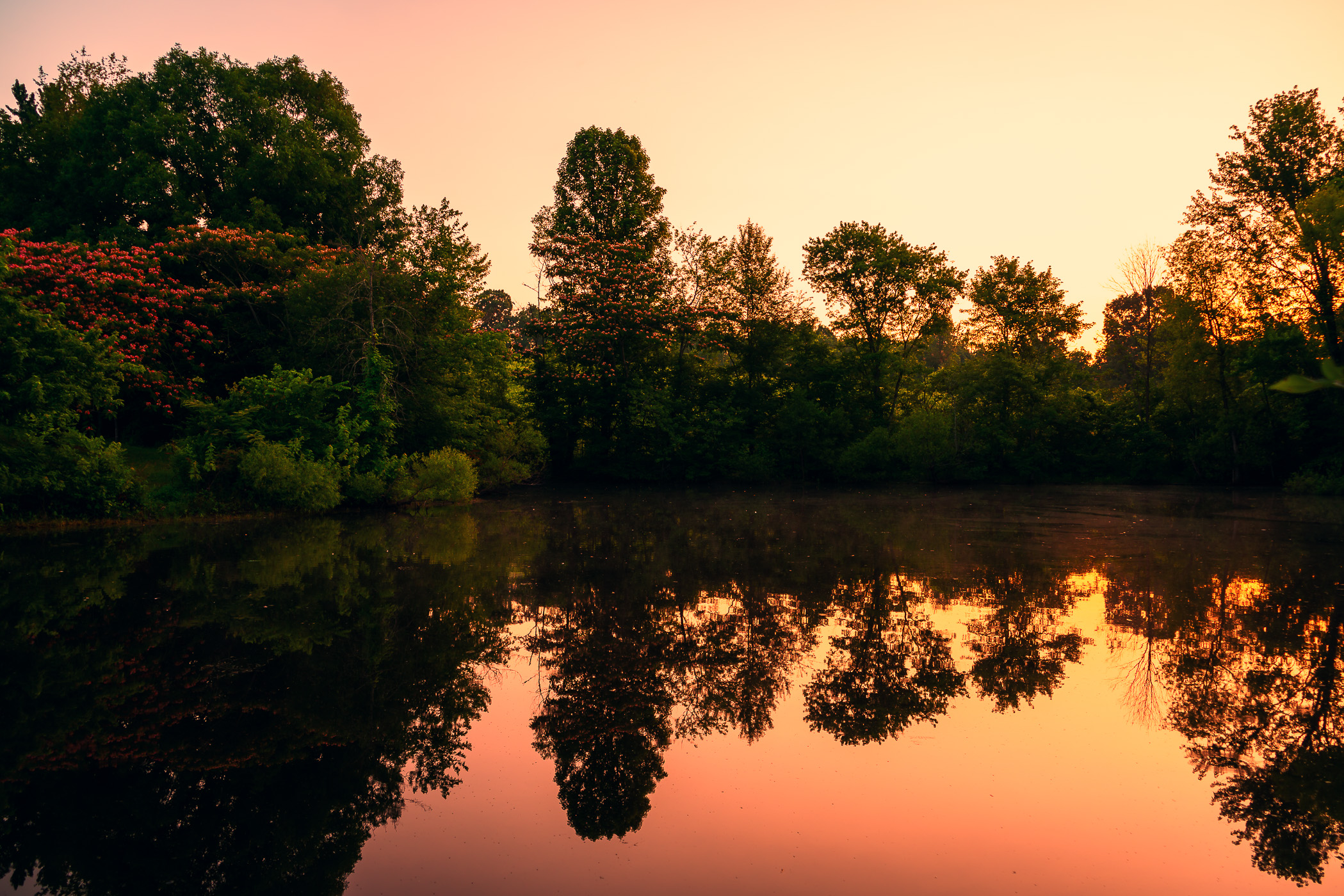 The morning sun silhouettes trees on a pond's shore near Pigeon Forge, Tennessee.
