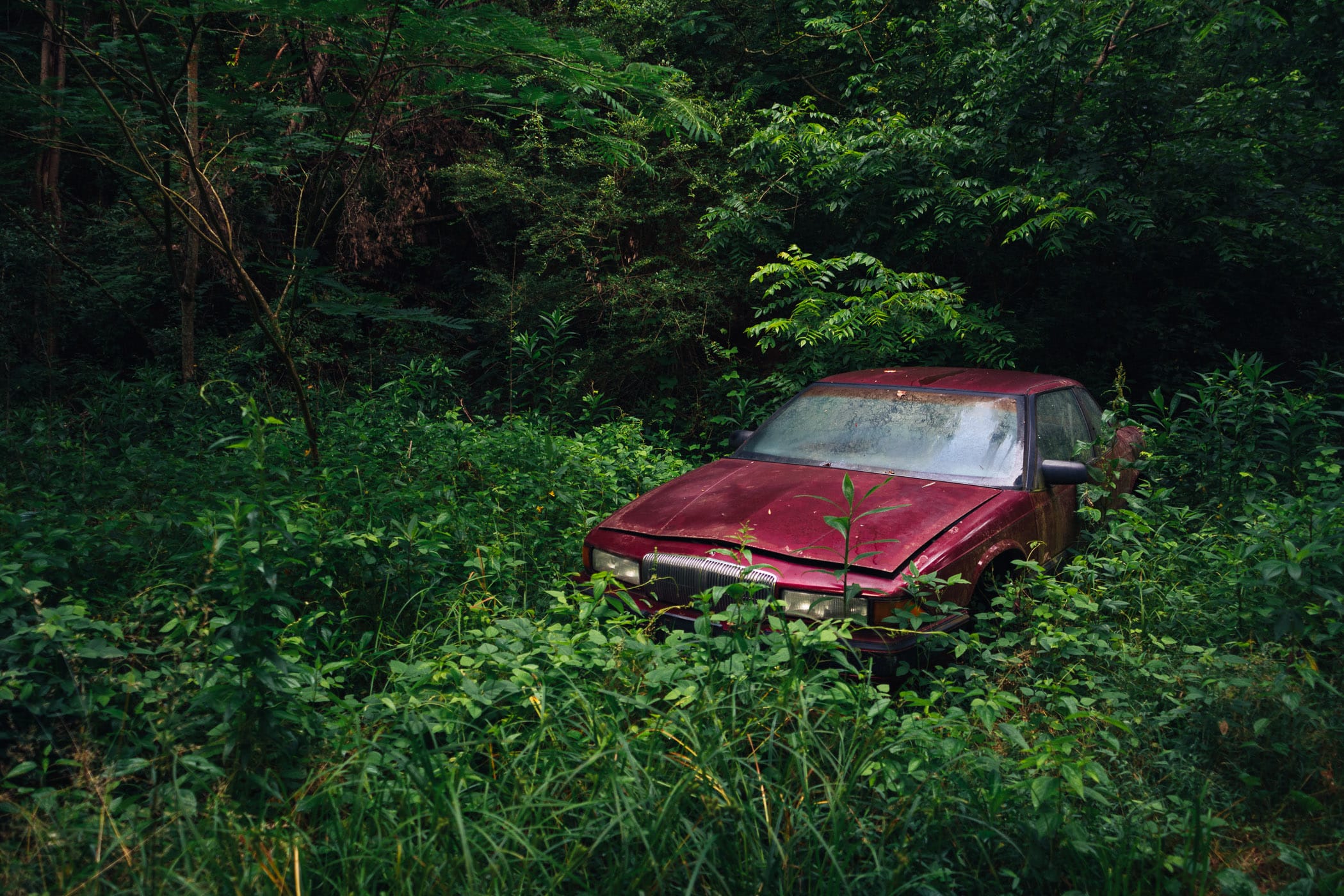 An abandoned car decays in the forest near Pigeon Forge, Tennessee.
