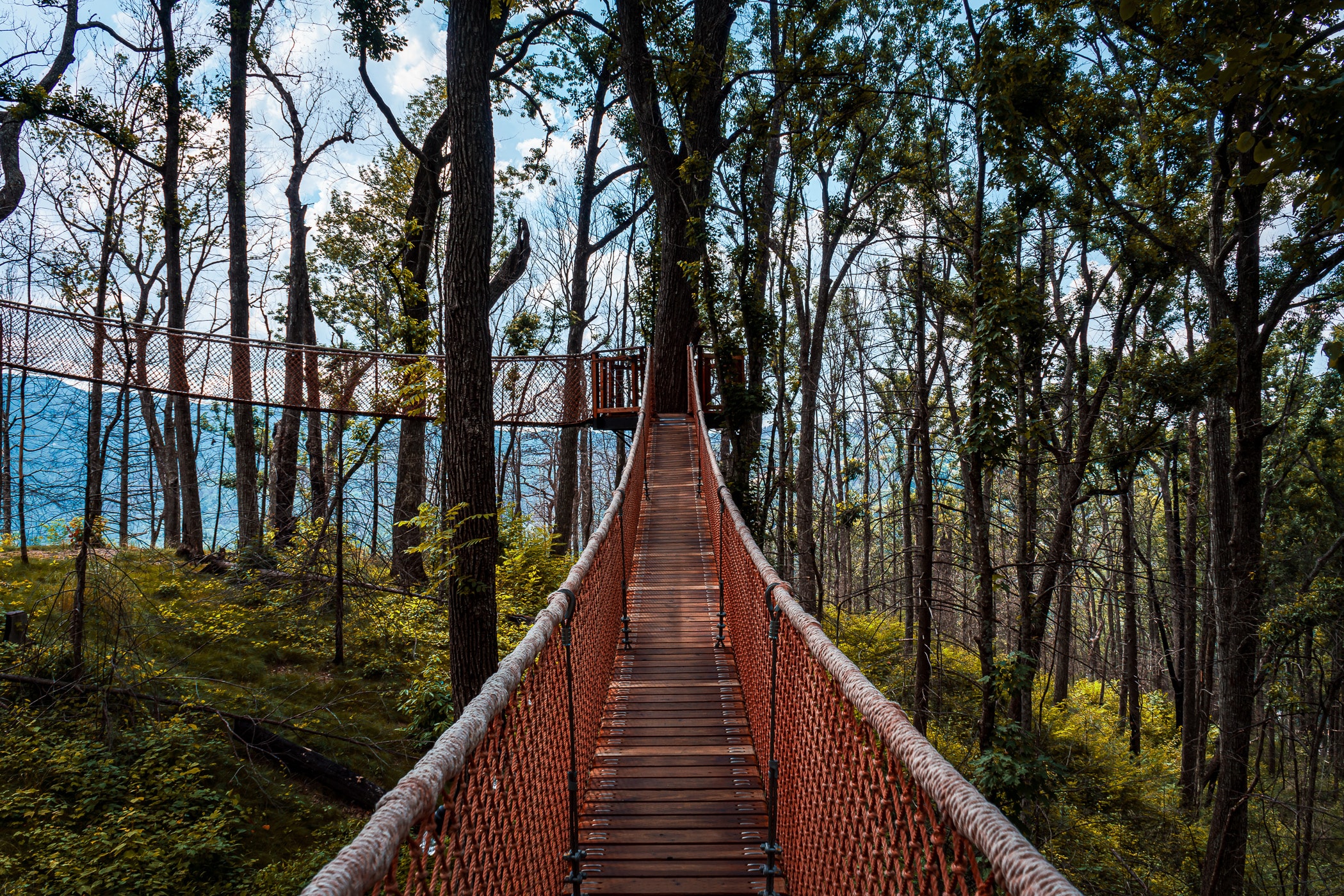 Rope bridges connect trees to one another at Anakeesta Mountain Park, Gatlinburg, Tennessee.