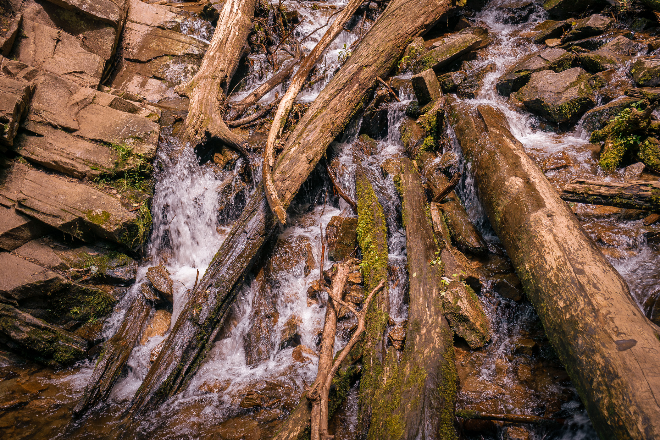 Water flows past logs at the base of Mingo Falls, Cherokee, North Carolina.