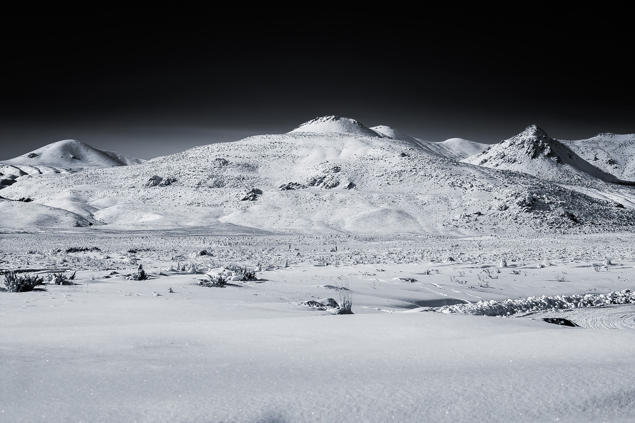 The barren winter landscape of Utah's Antelope Island.