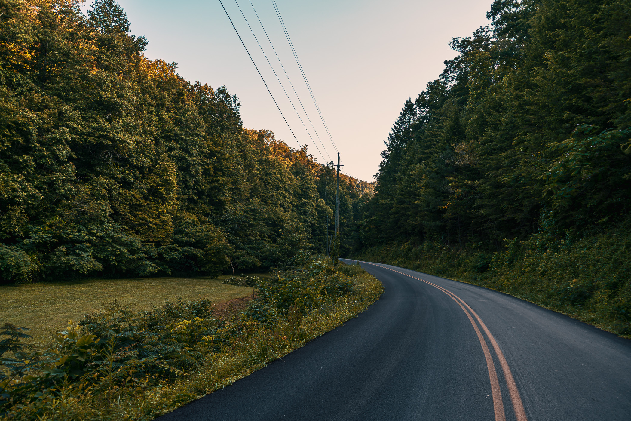 A road carves through the forest near Pigeon Forge, Tennessee.